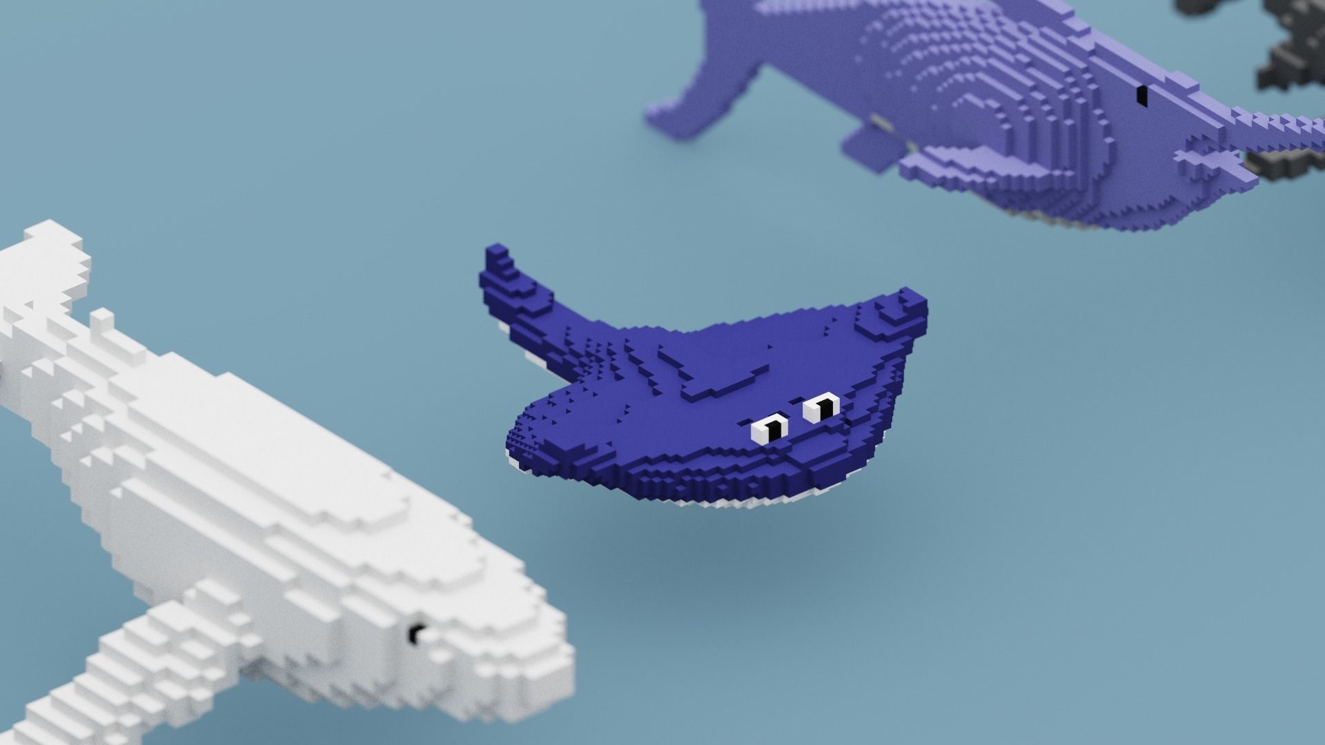 Voxel Sea Animals Low-poly 3D model_8