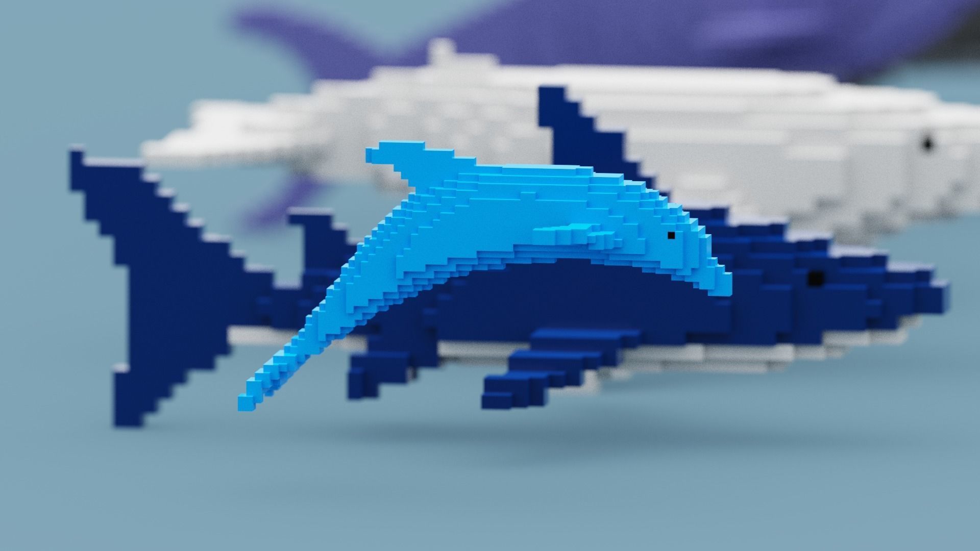 Voxel Sea Animals Low-poly 3D model_3