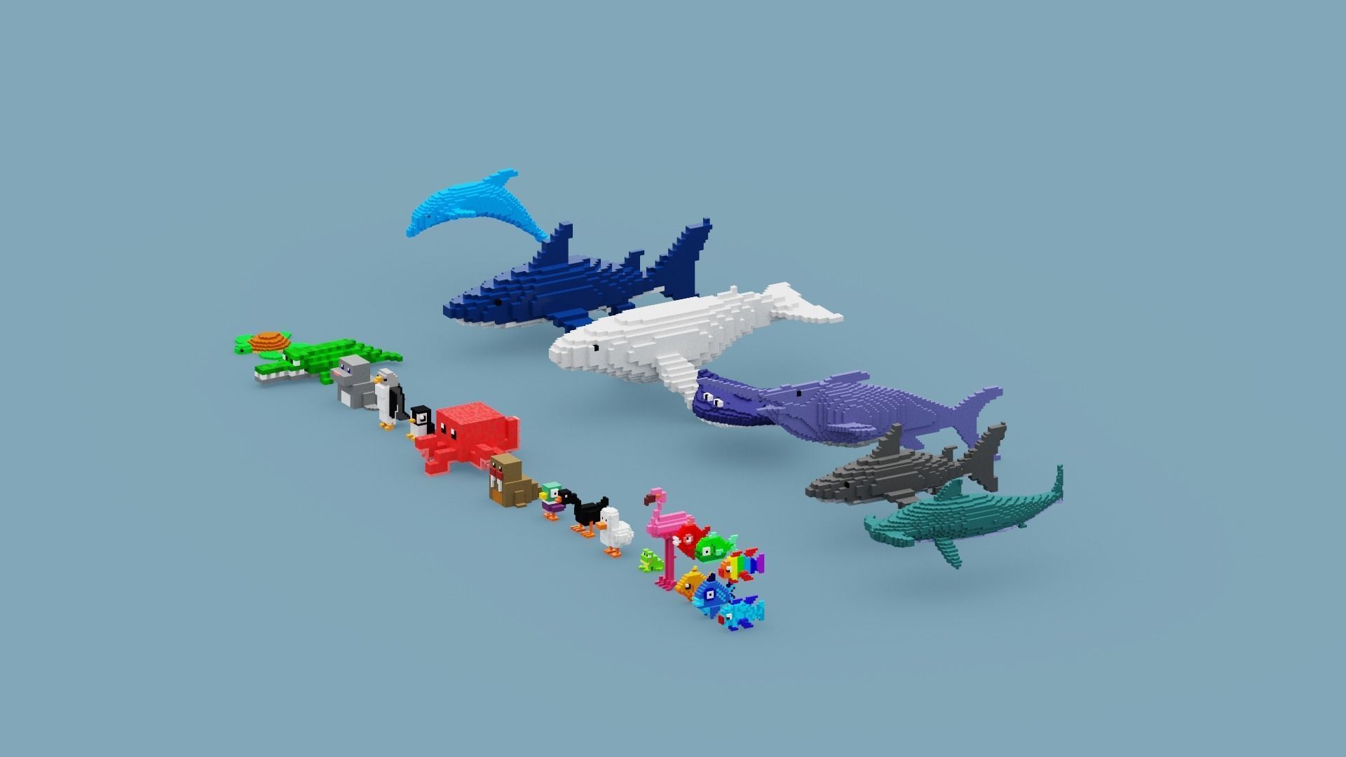 Voxel Sea Animals Low-poly 3D model_11