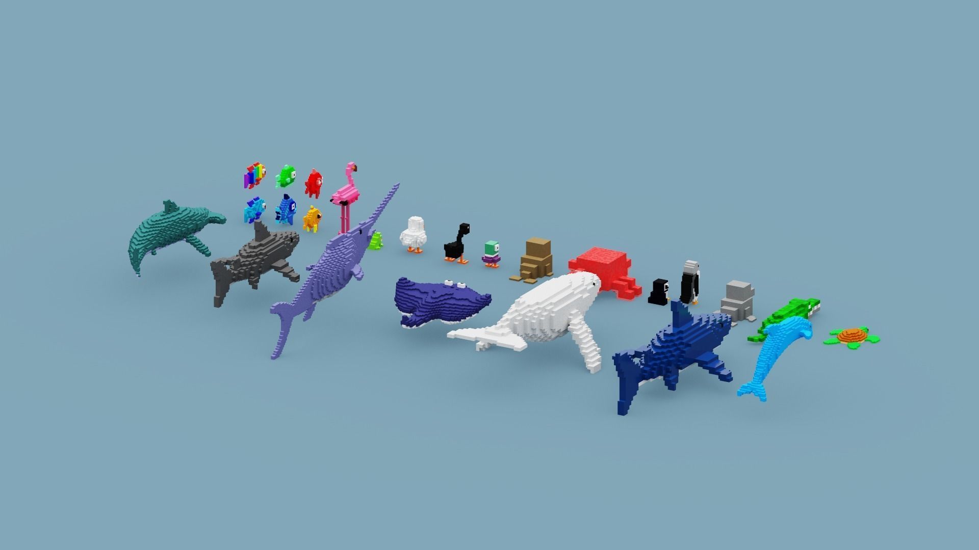 Voxel Sea Animals Low-poly 3D model_16