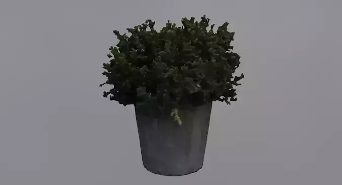 Flower Bush Pot