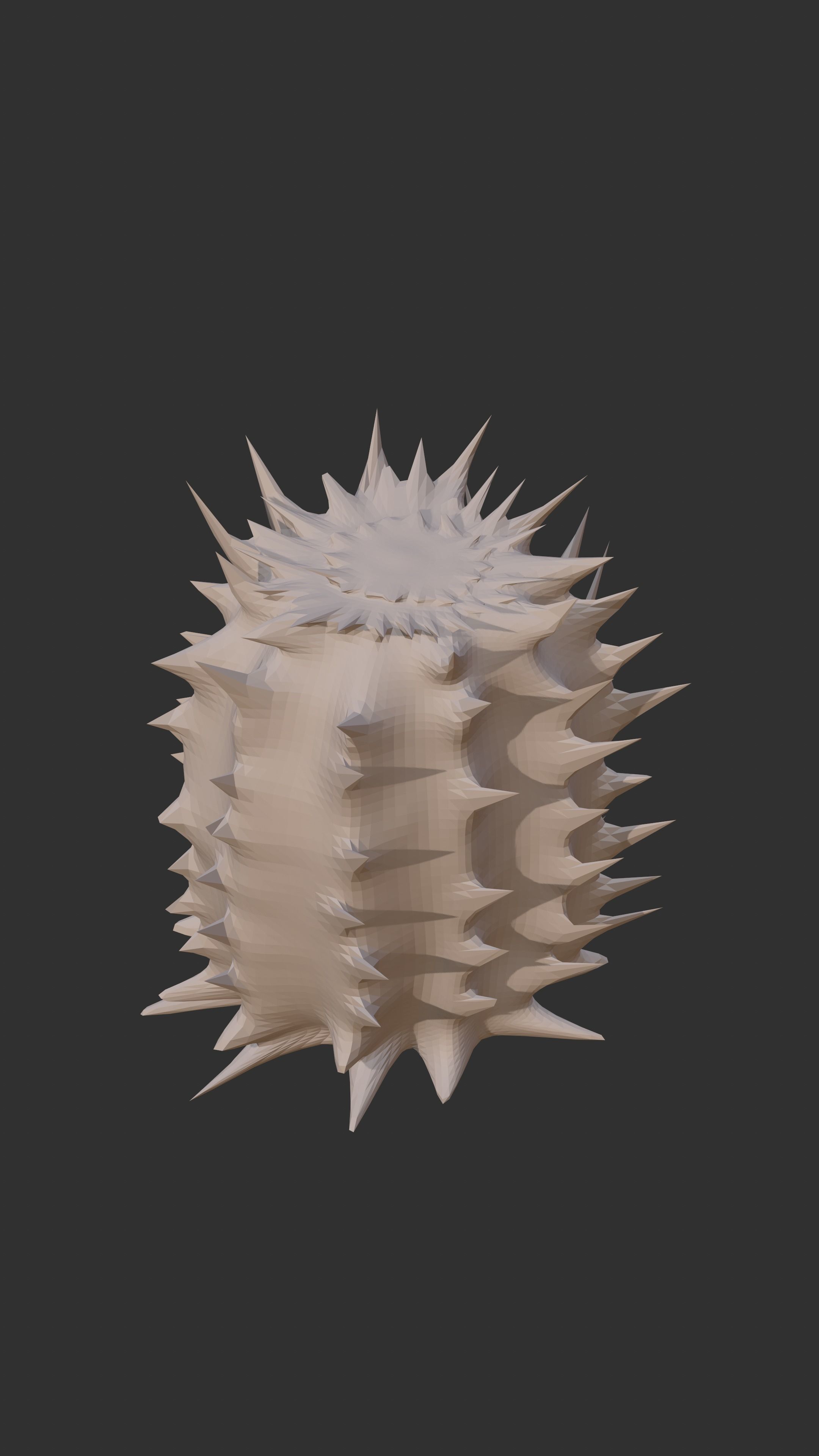 2 cactus models Low-poly 3D model_4