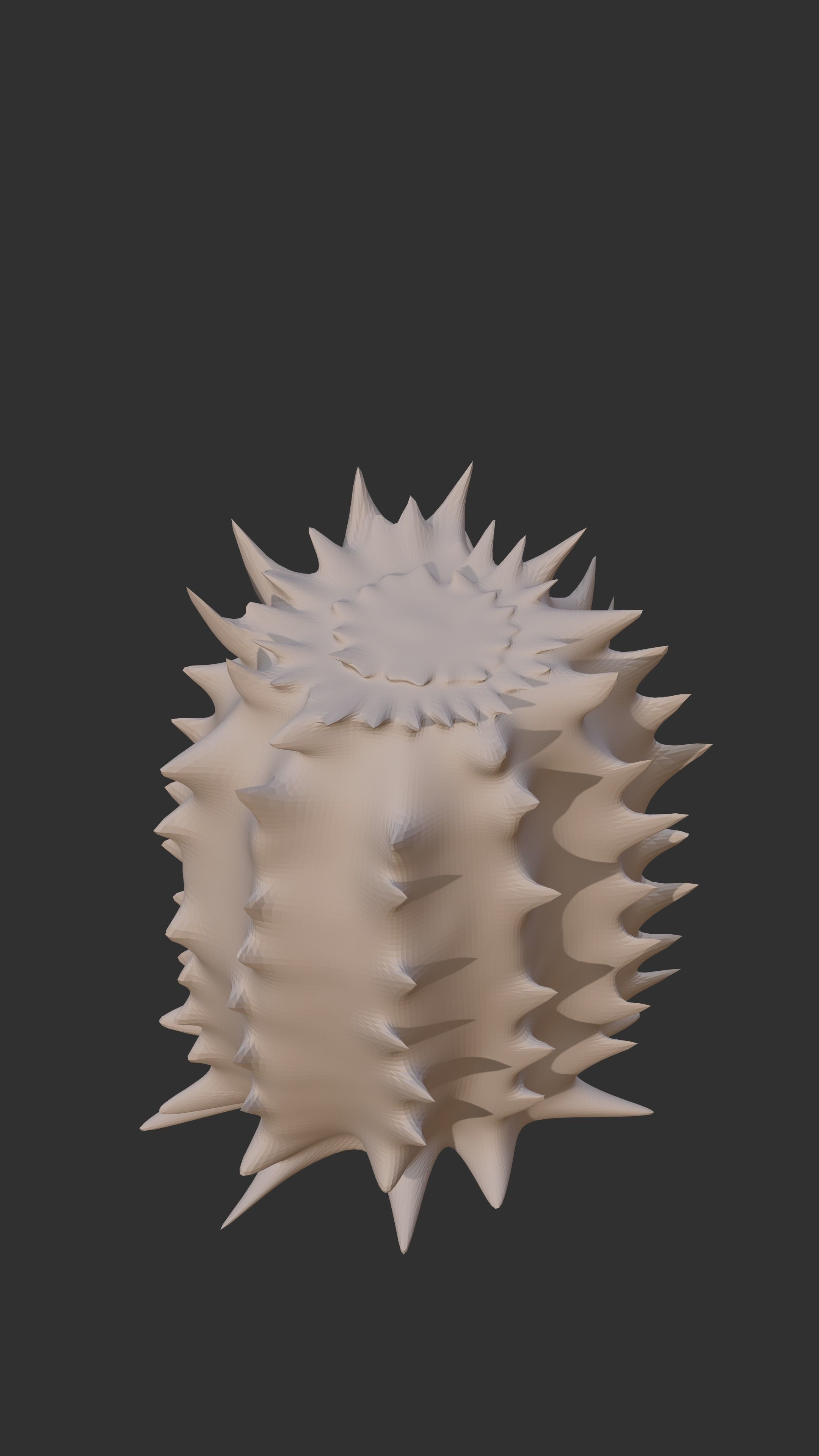 2 cactus models Low-poly 3D model_7