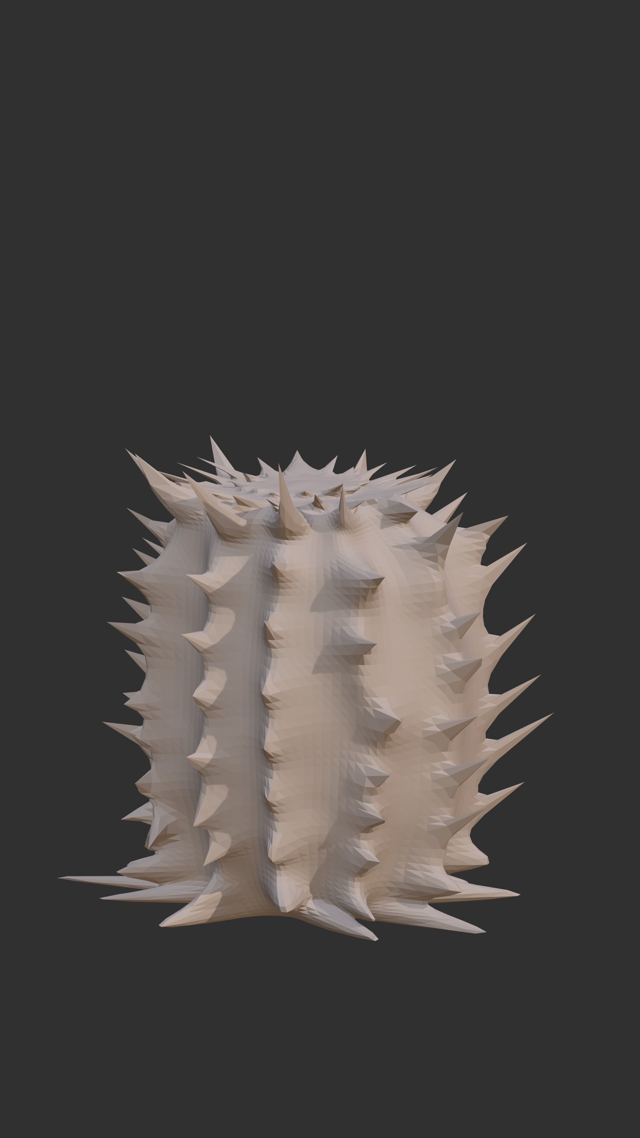 2 cactus models Low-poly 3D model_5