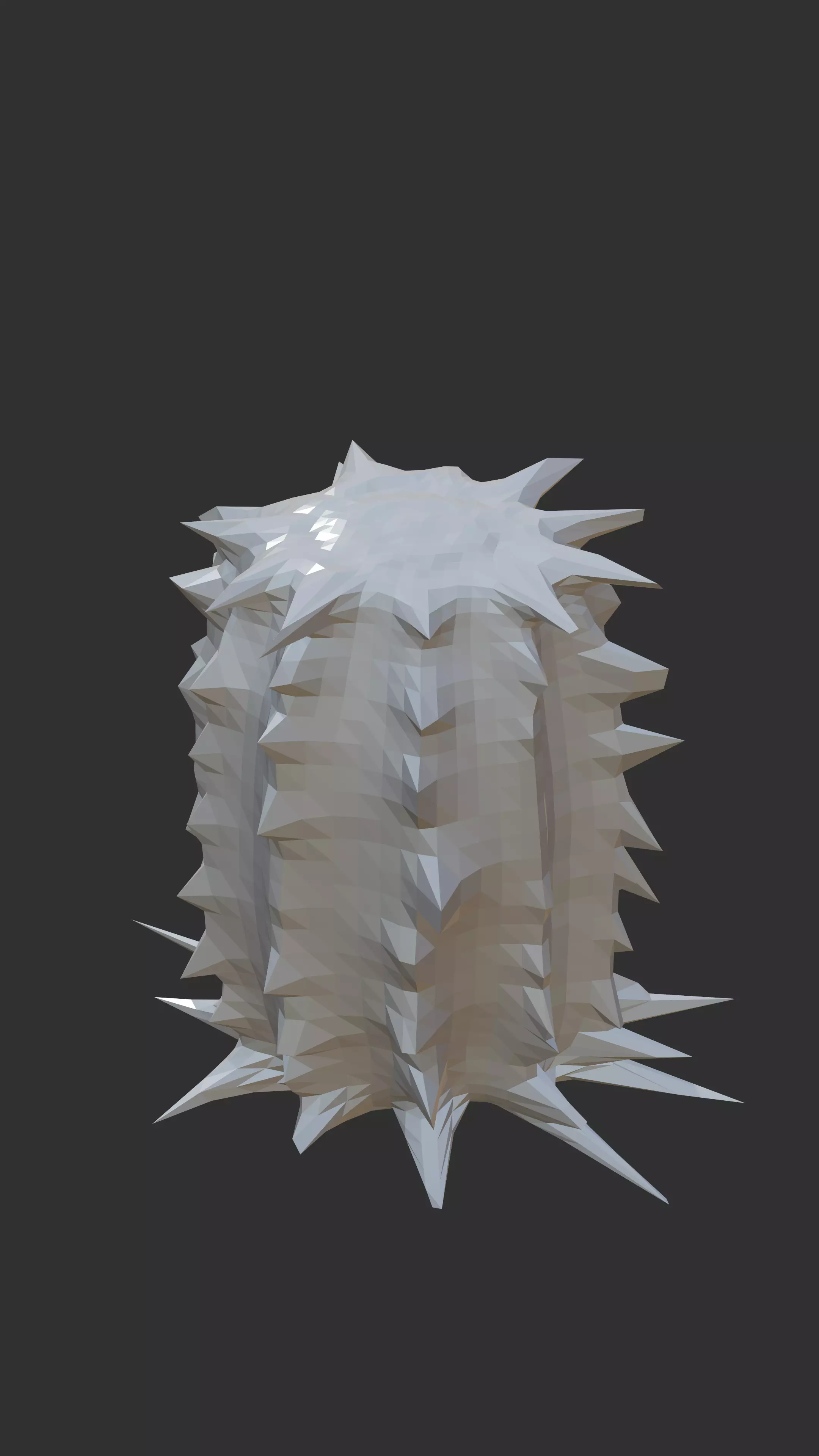 2 cactus models Low-poly 3D model_0