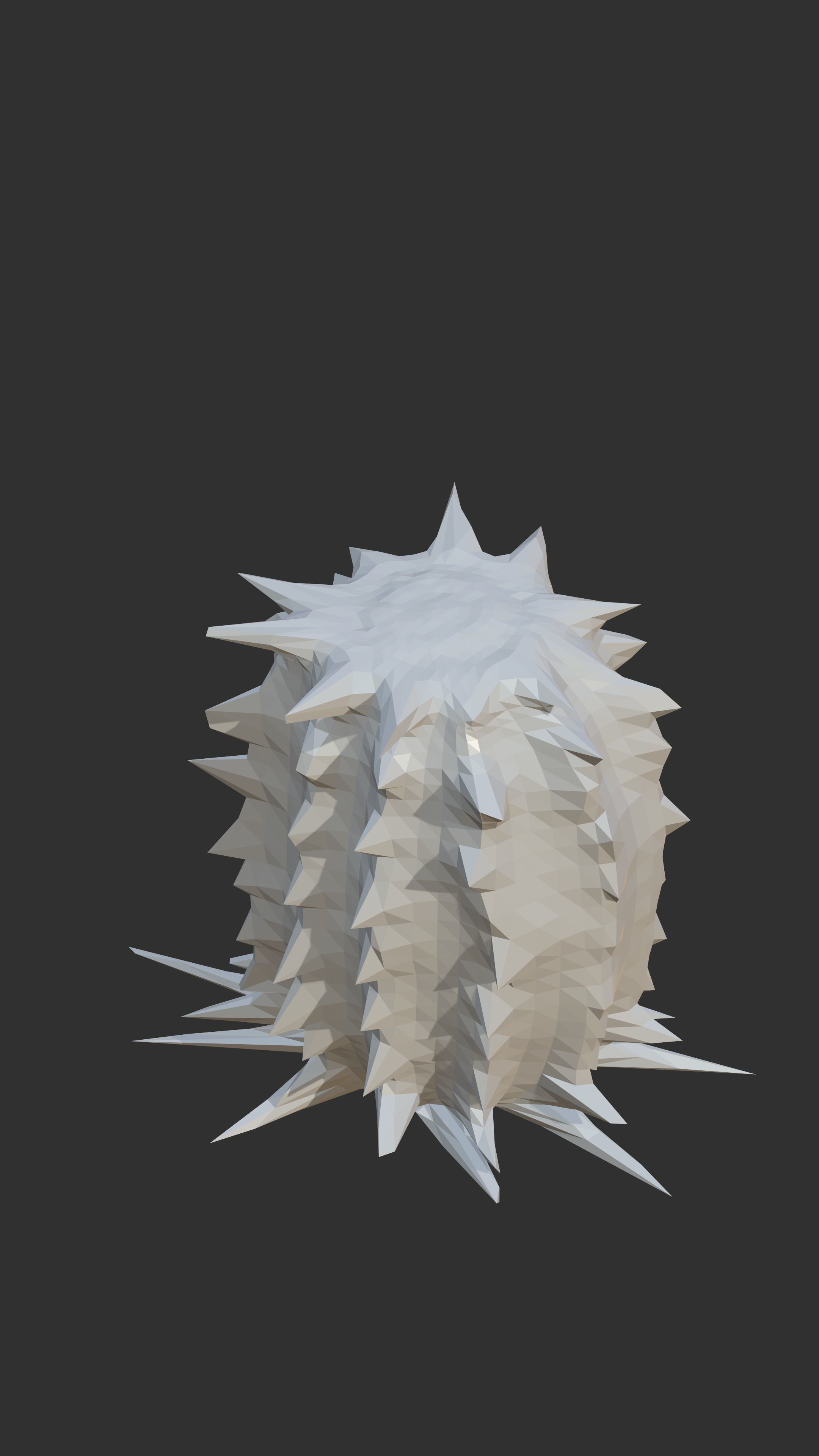 2 cactus models Low-poly 3D model_1