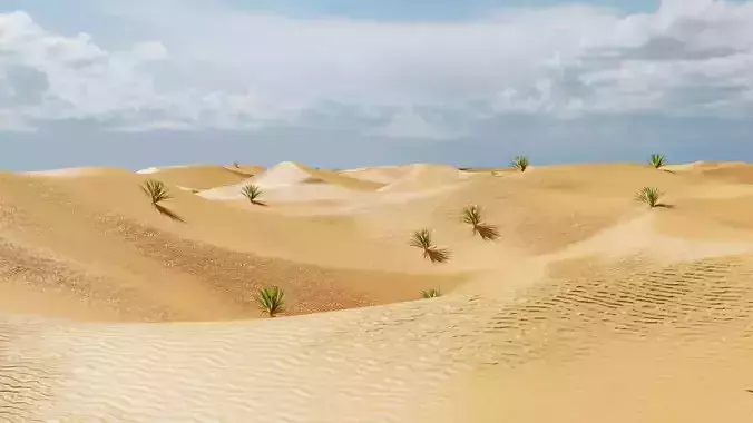 desert