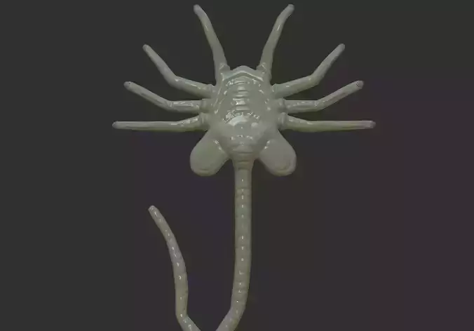 Alien facehugger  3D model