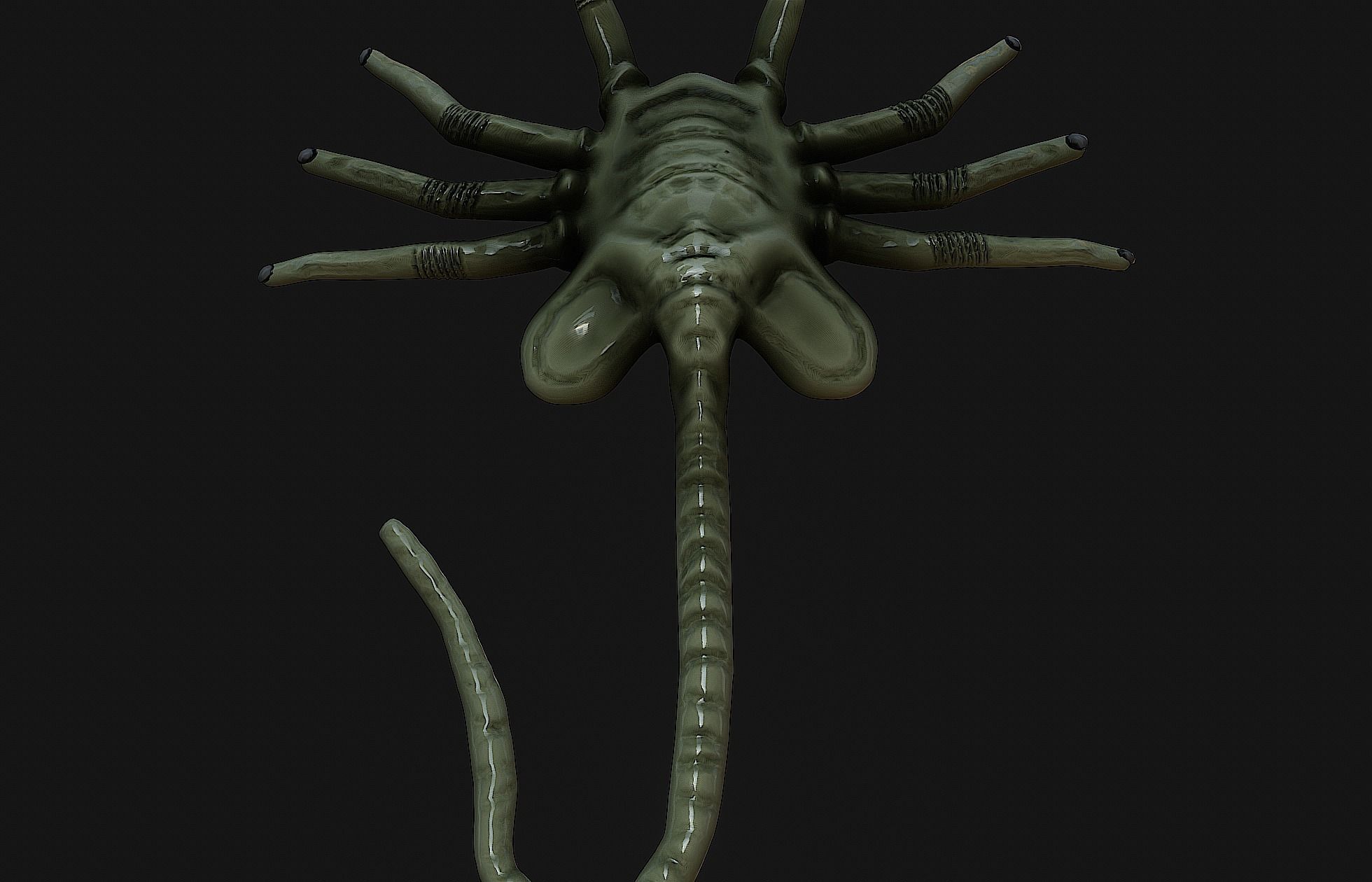 Alien facehugger 3D model rigged CGTrader