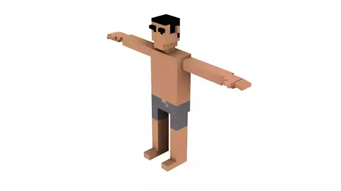 TOPLESS VOXEL CHARACTER