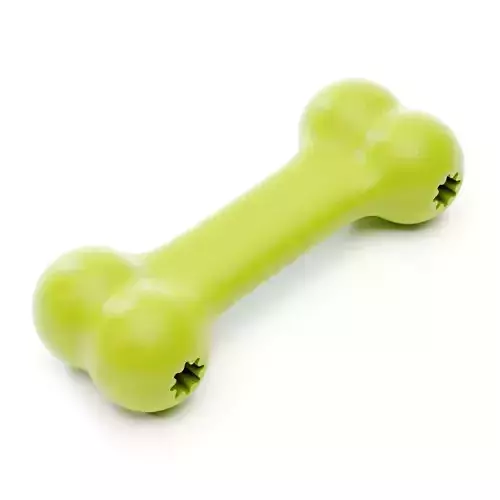 Rubber Bone Toy