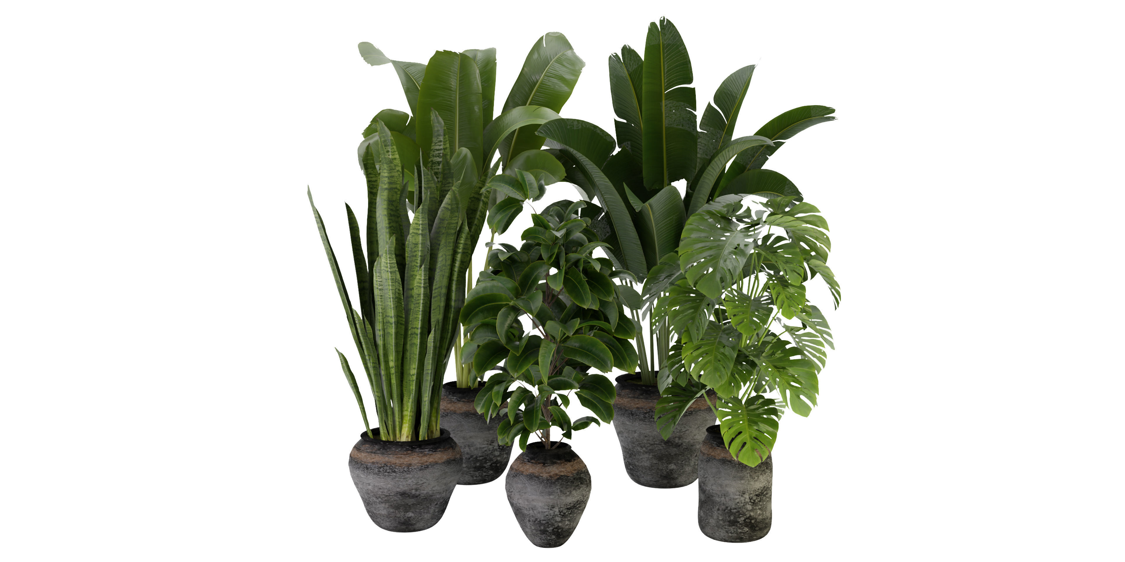 Collection plant vol 345  - blender model  3D model_1