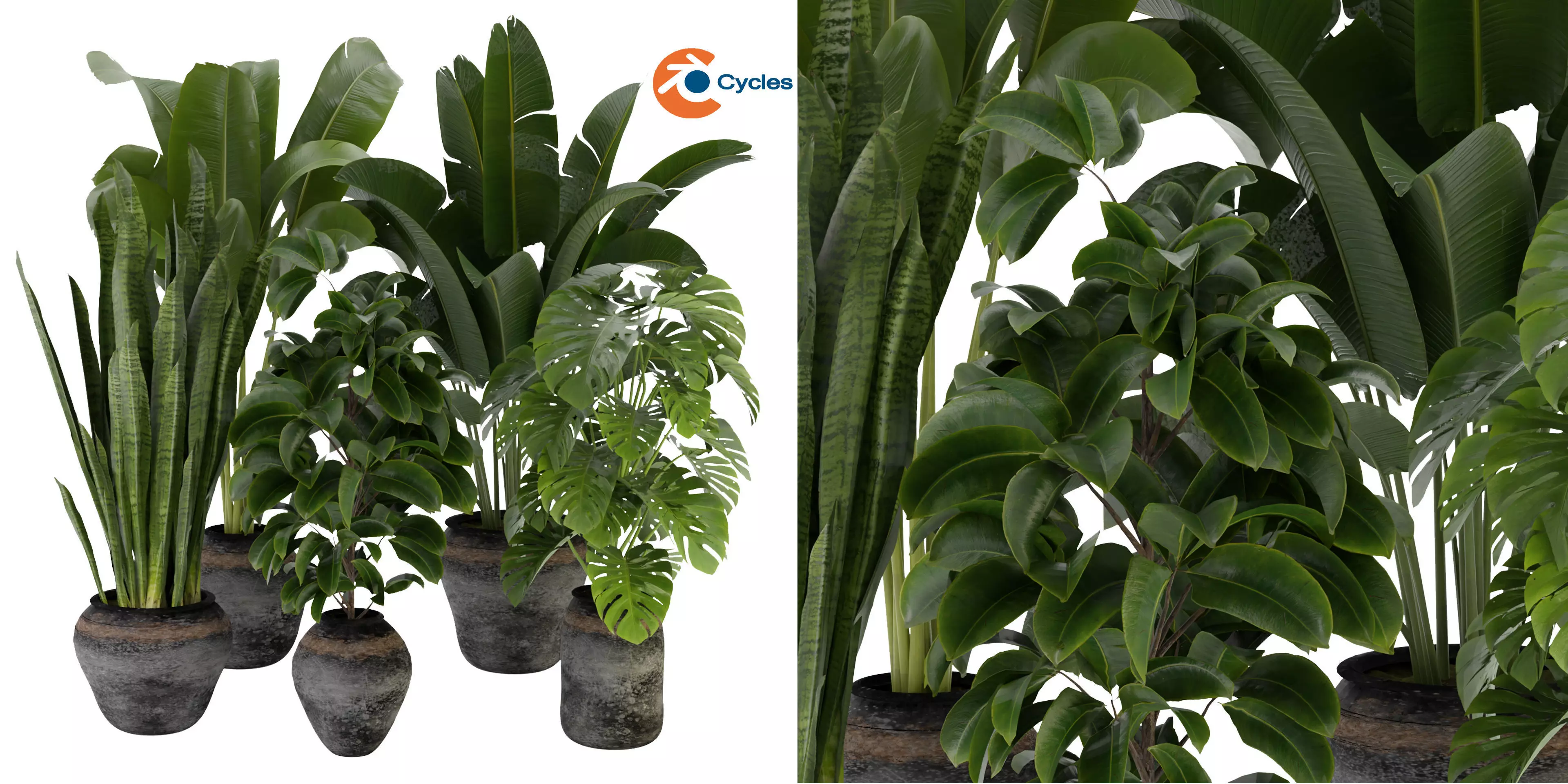 Collection plant vol 345  - blender model  3D model_0