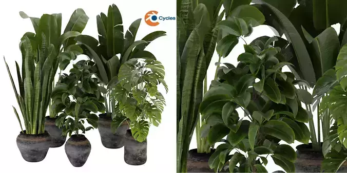 Collection plant vol 345  - blender model 