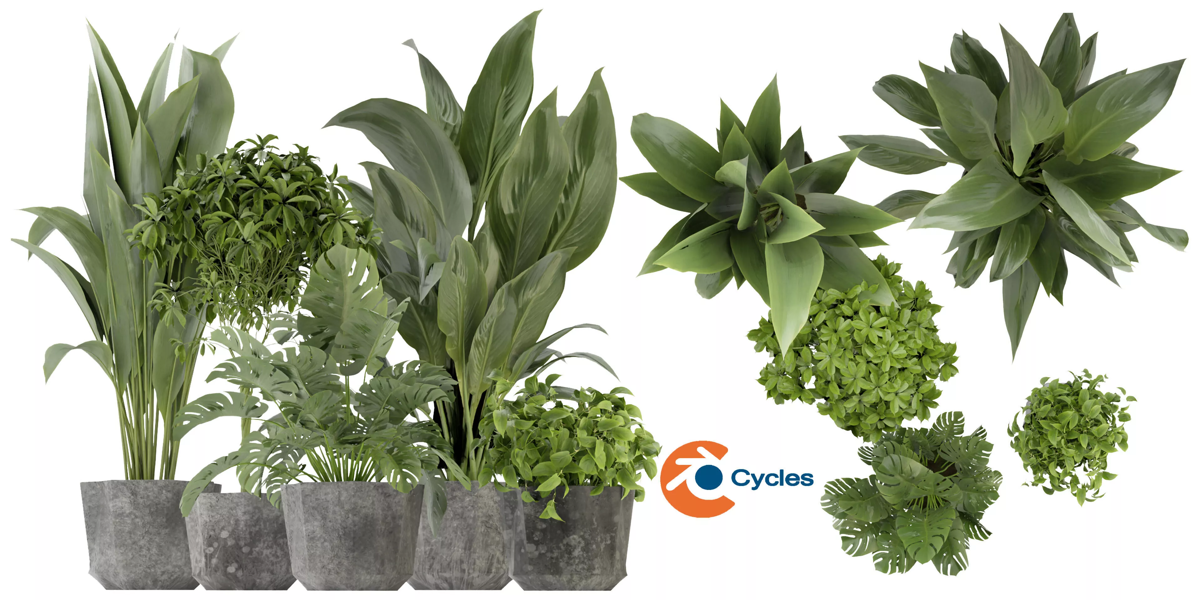 Collection plant vol 346 - blender model 3D model