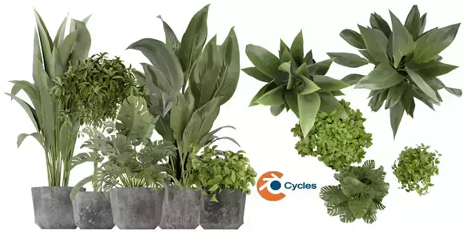 Collection plant vol 346 - blender model 