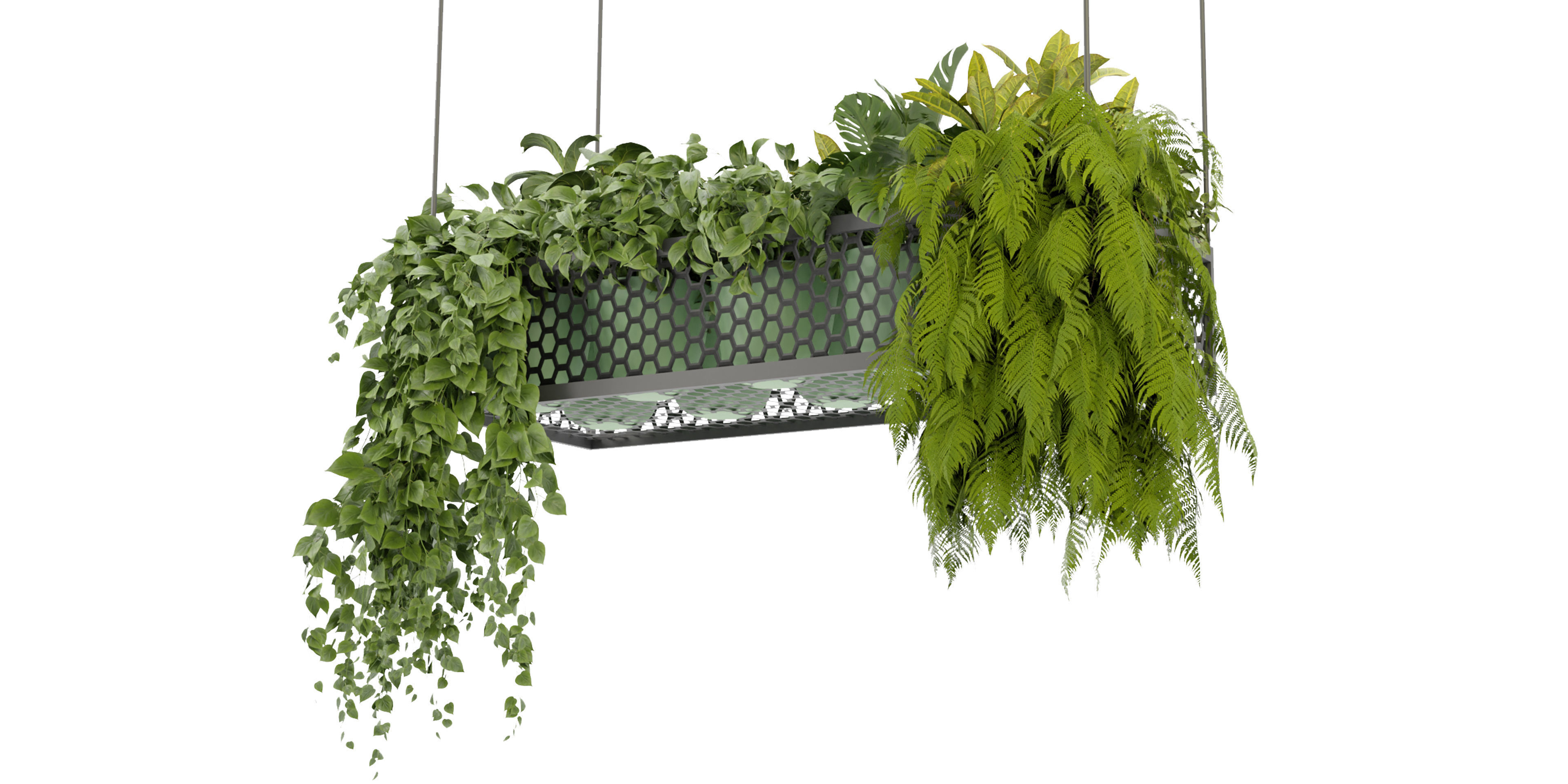 Collection plant vol 347  - blender model  3D model_1