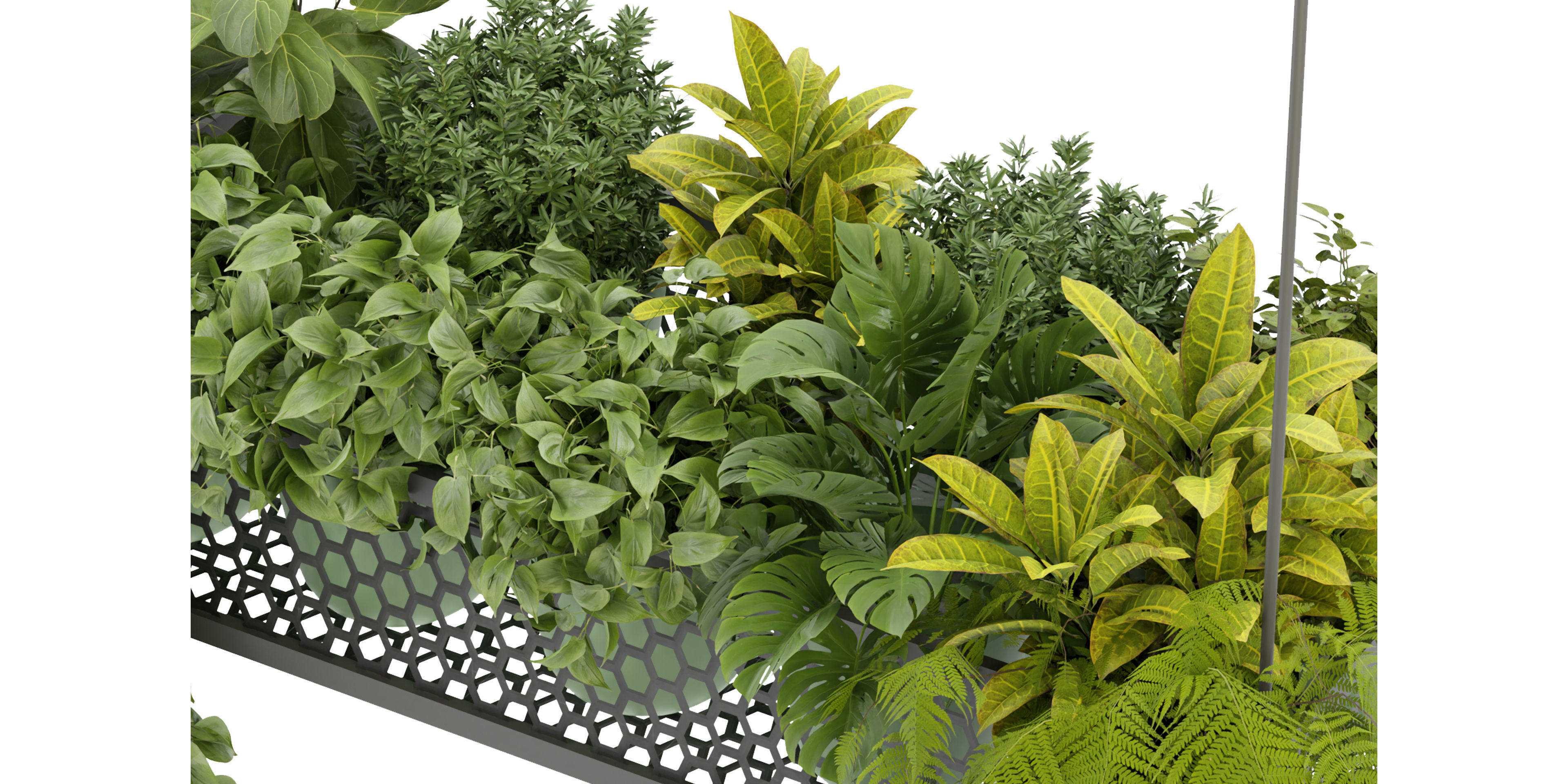 Collection plant vol 347  - blender model  3D model_4