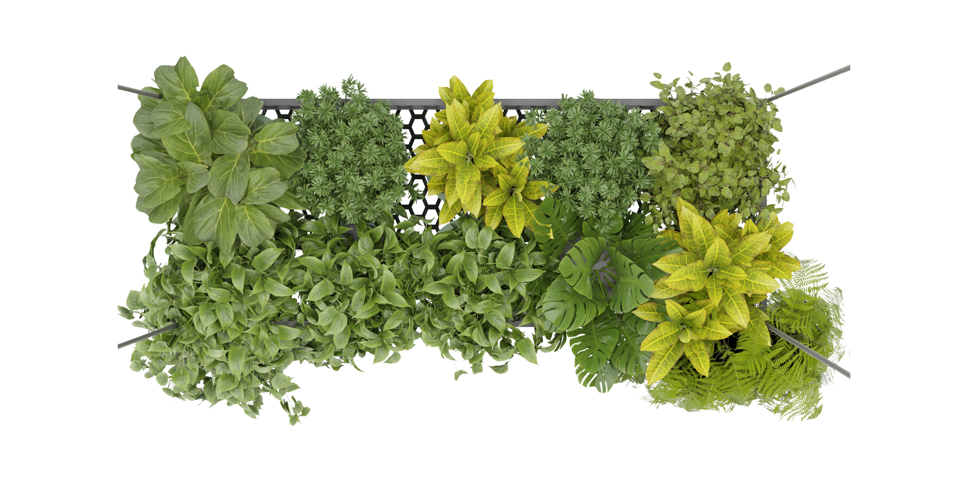 Collection plant vol 347  - blender model  3D model_5