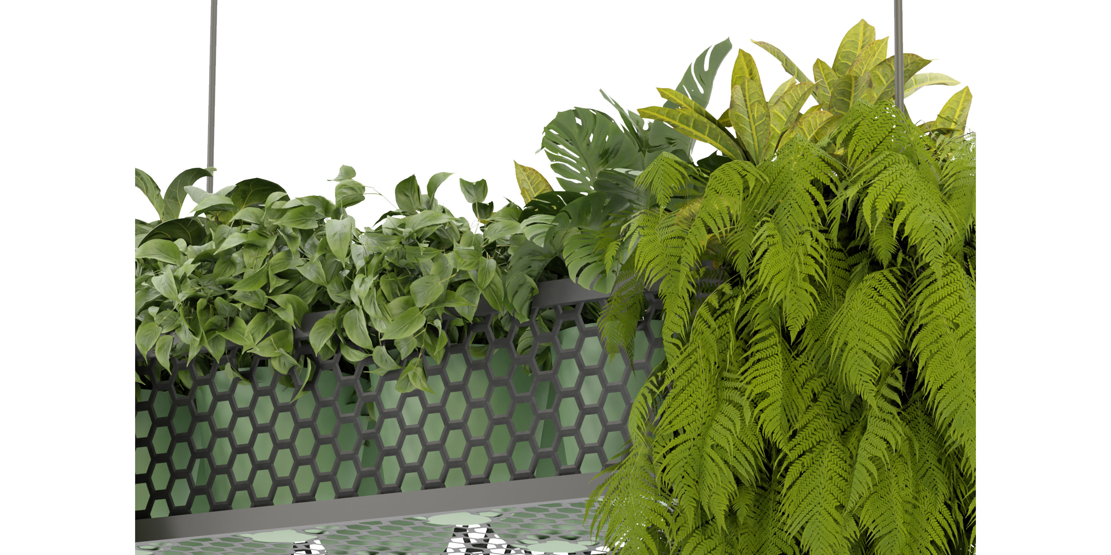 Collection plant vol 347  - blender model  3D model_2