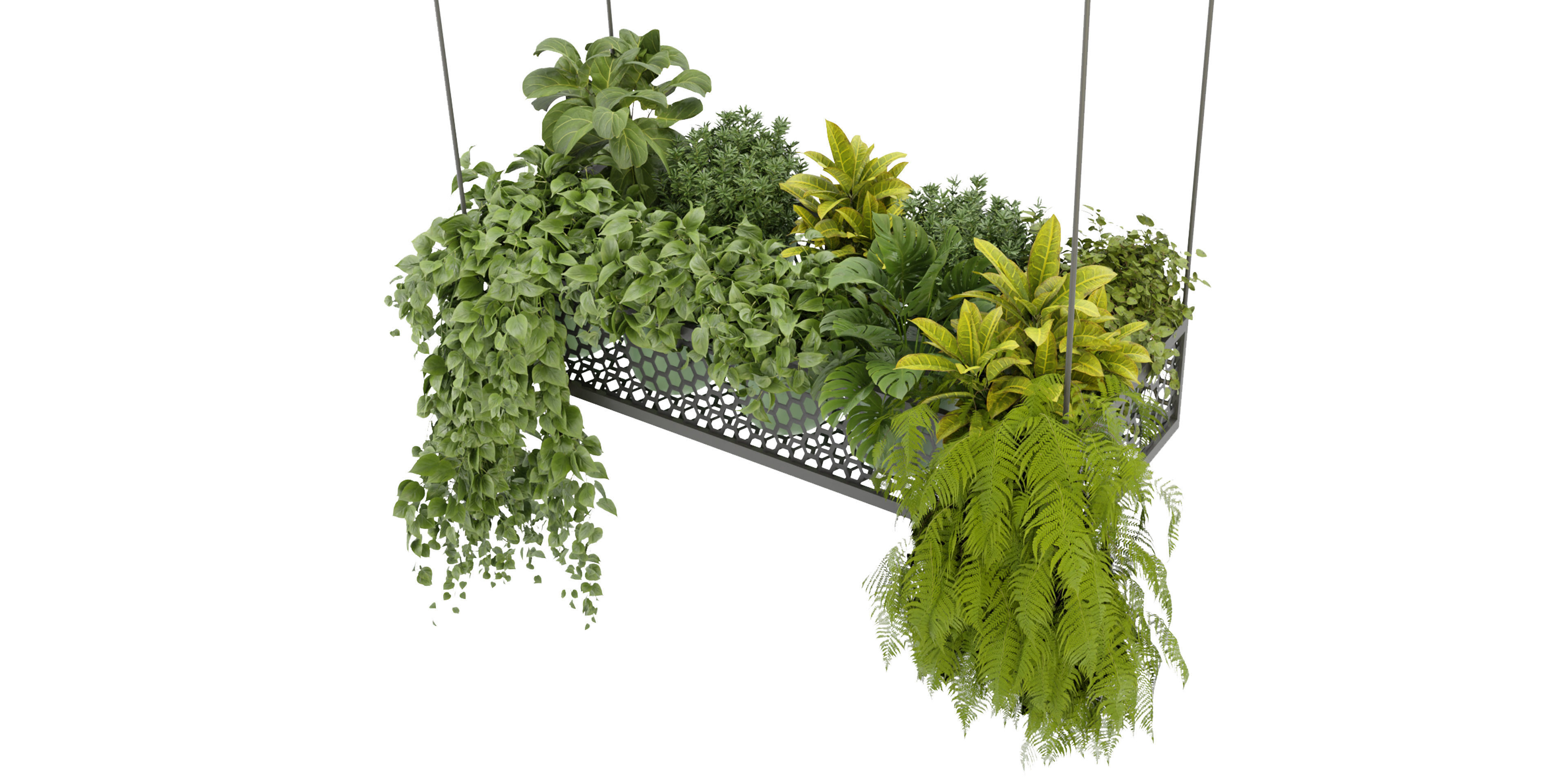 Collection plant vol 347  - blender model  3D model_3