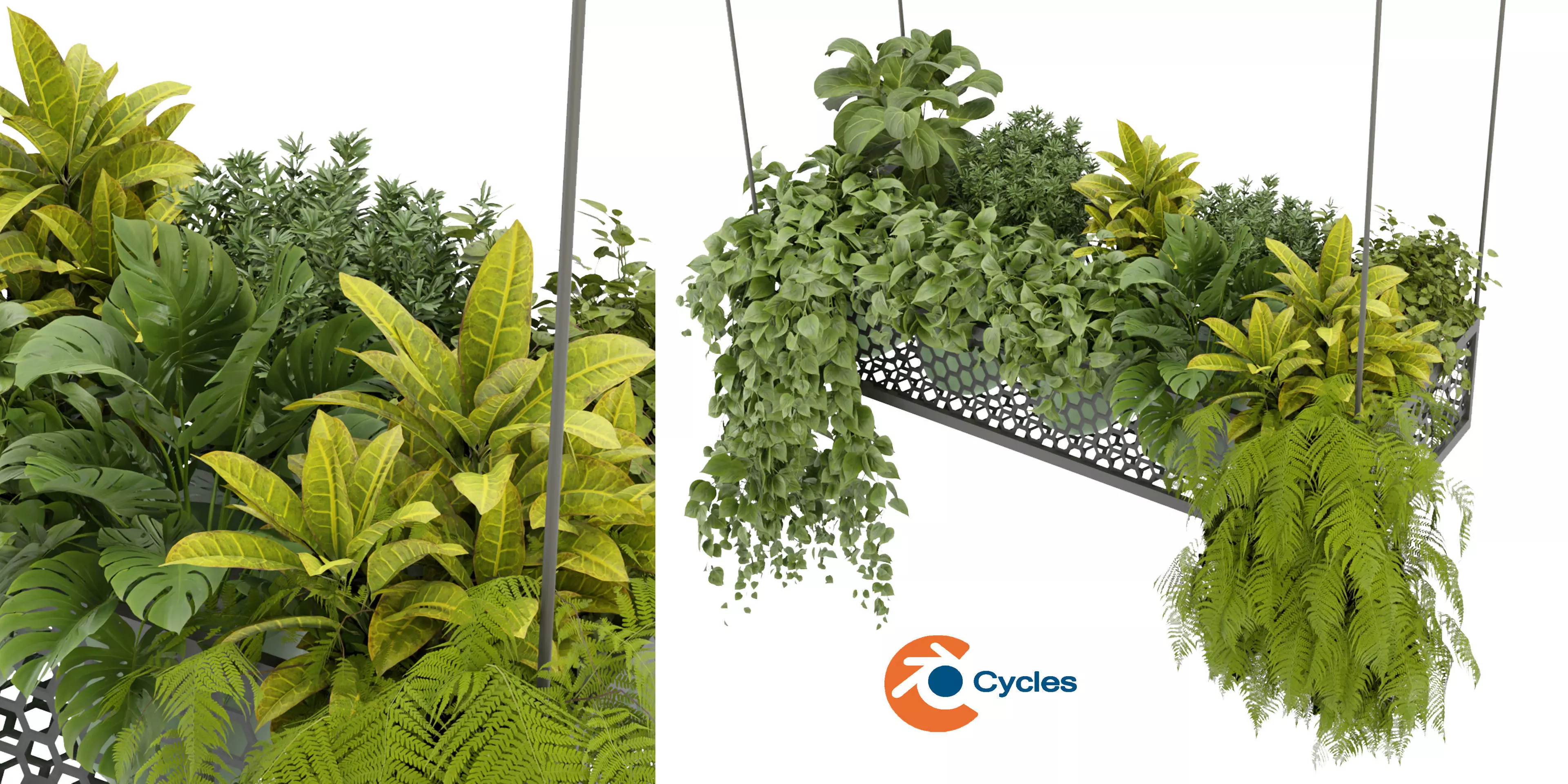 Collection plant vol 347  - blender model  3D model_0