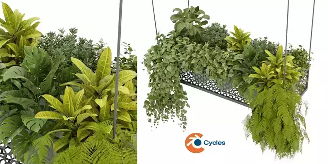 Collection plant vol 347  - blender model 