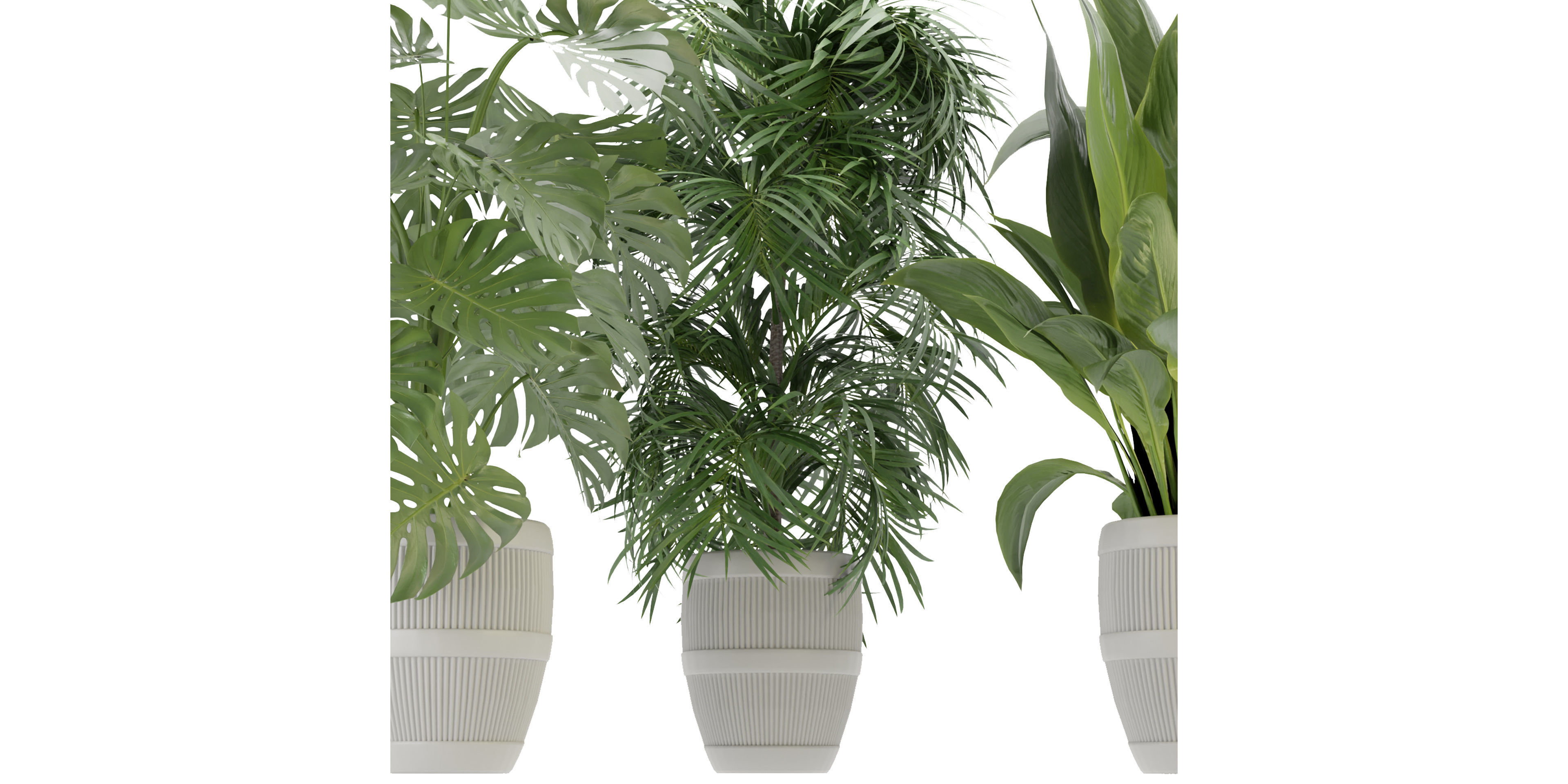 Collection plant vol 348  - blender model  3D model_2
