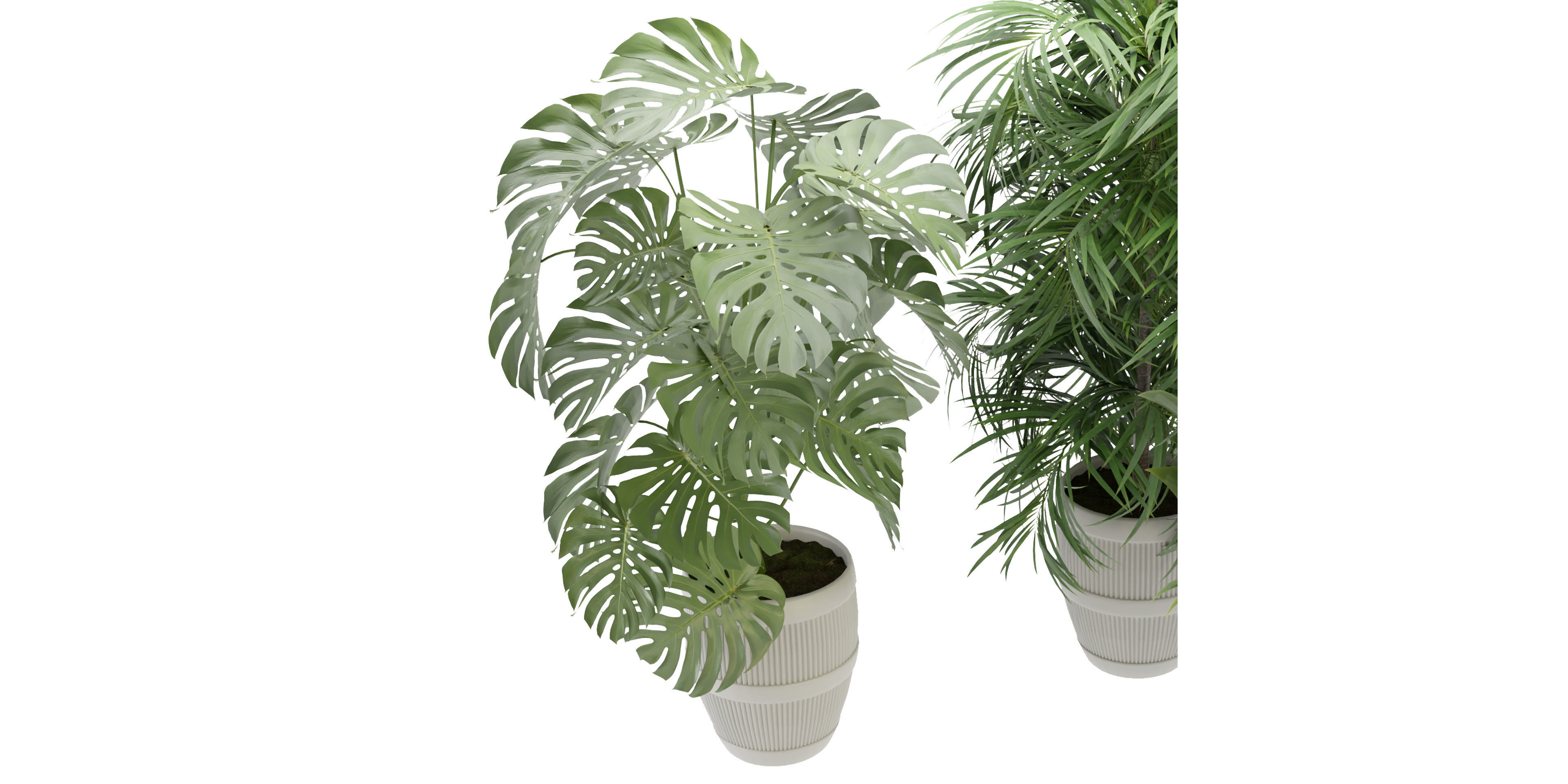 Collection plant vol 348  - blender model  3D model_4