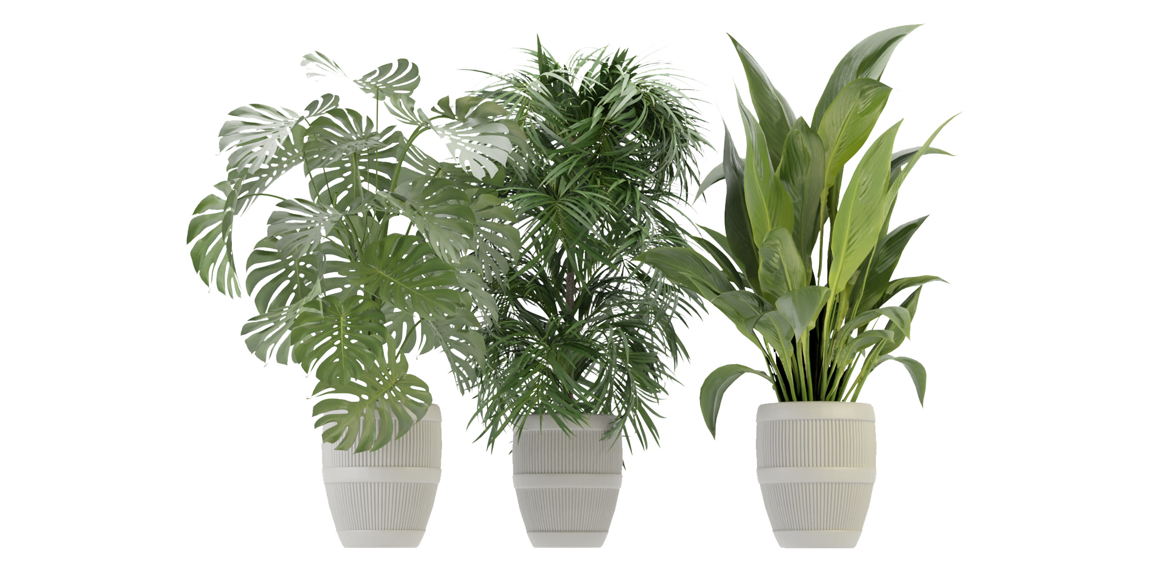 Collection plant vol 348  - blender model  3D model_1