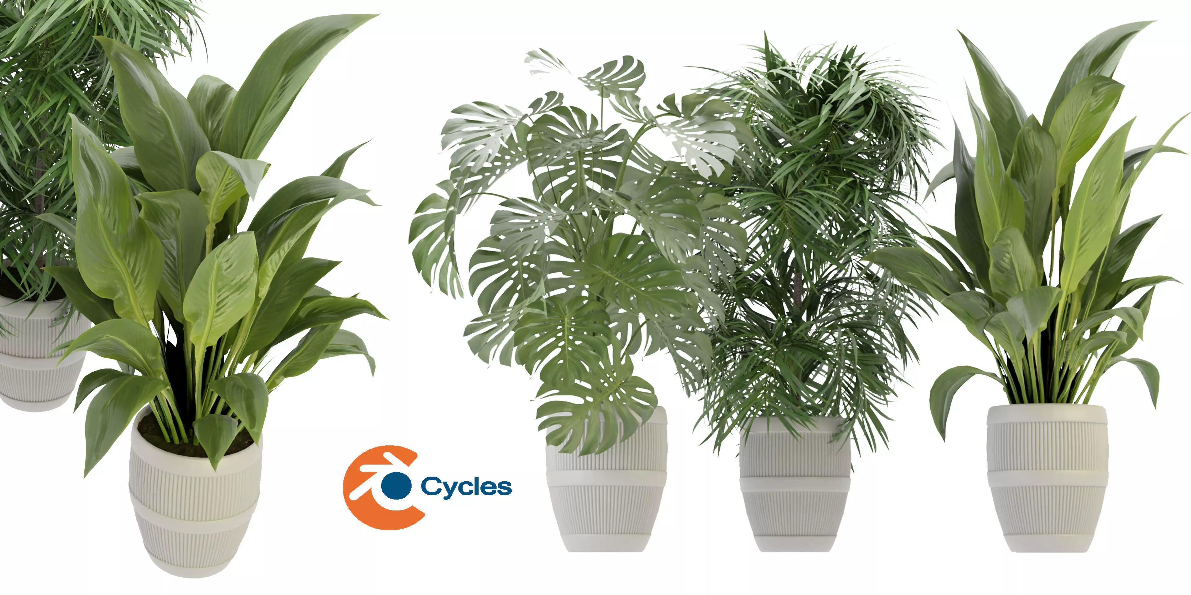 Collection plant vol 348  - blender model  3D model_0