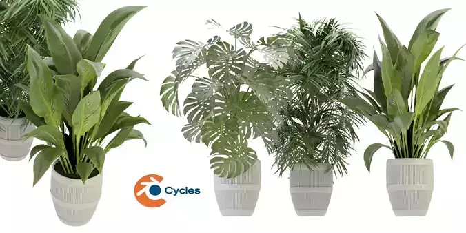 Collection plant vol 348  - blender model 