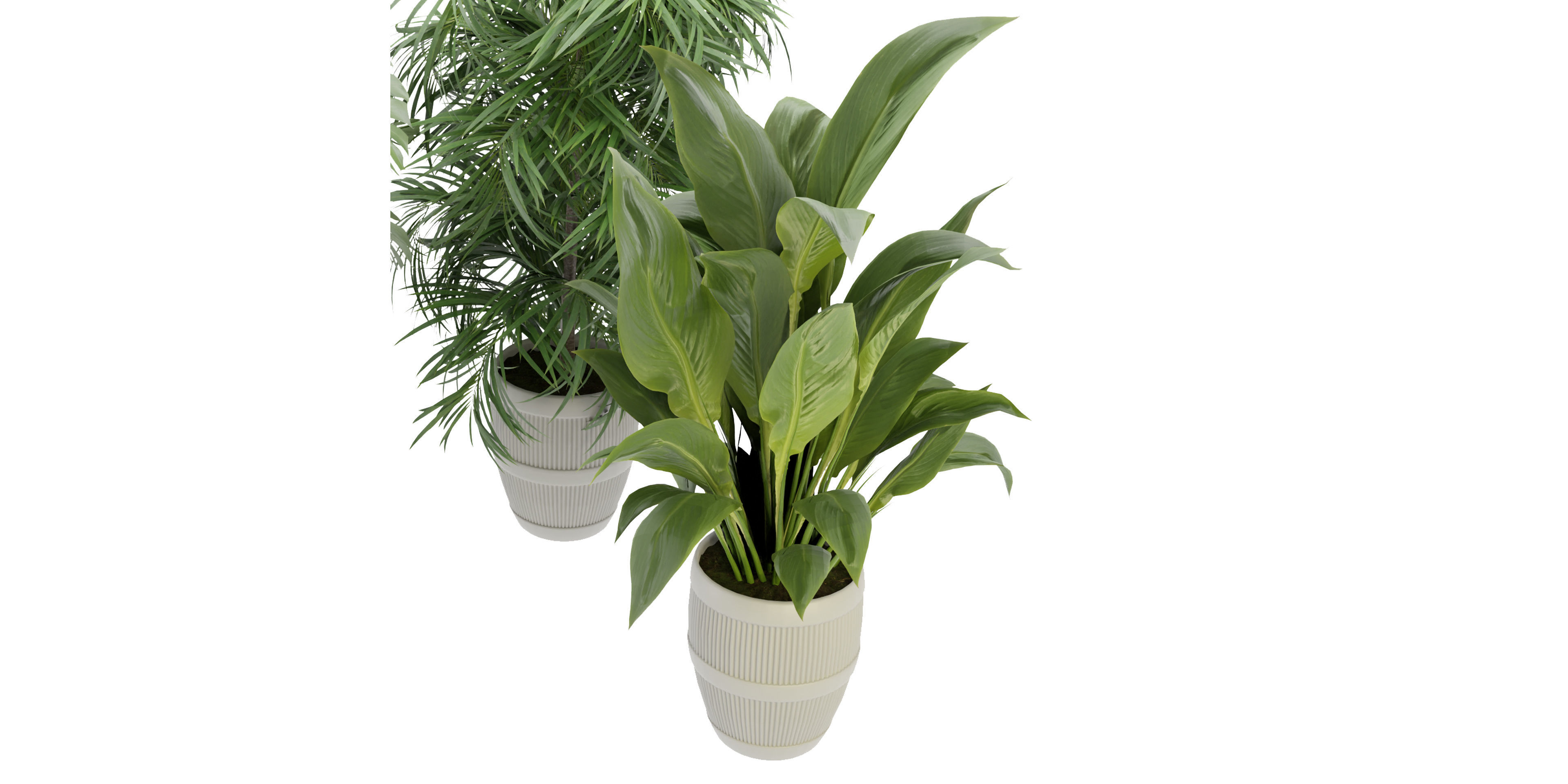 Collection plant vol 348  - blender model  3D model_3