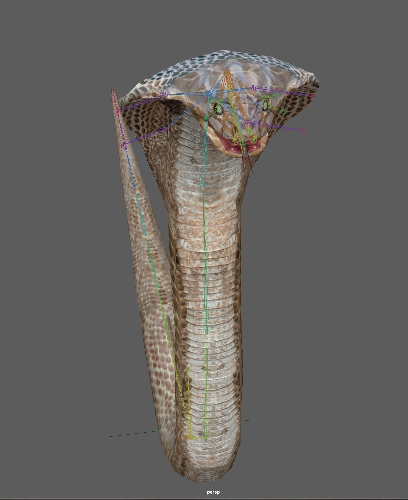 King Cobra Low-poly 3D model_16