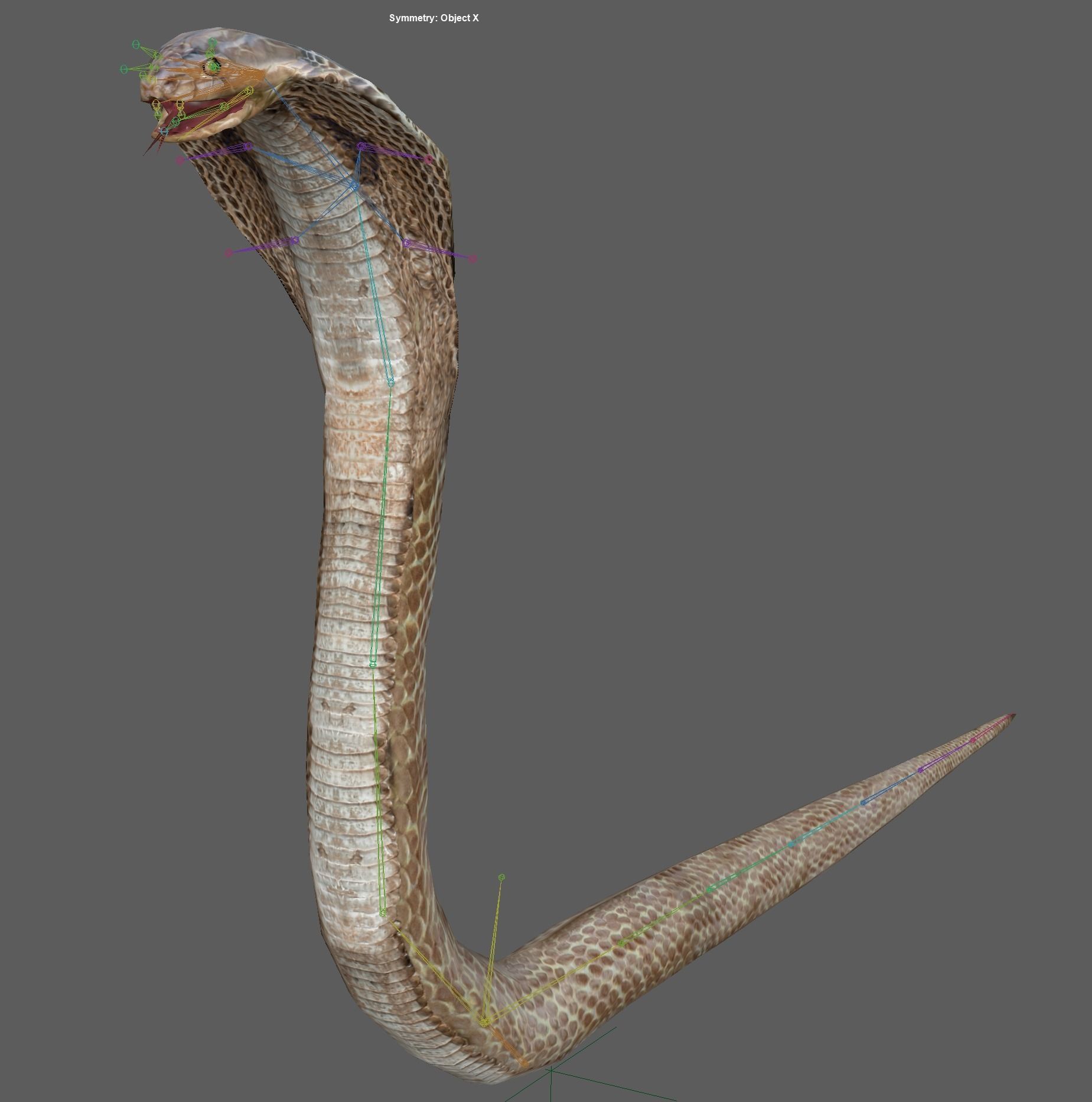 King Cobra Low-poly 3D model_9