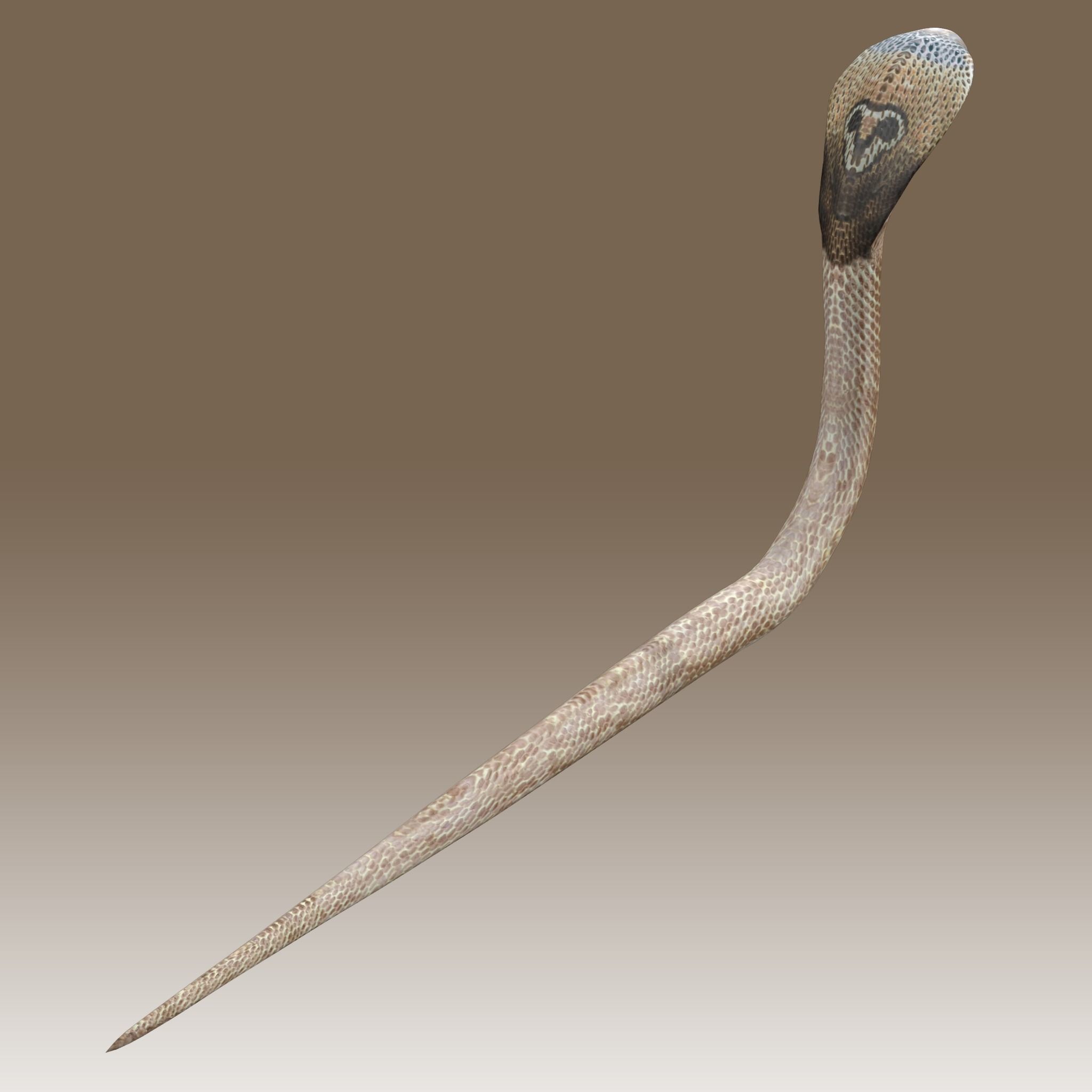 King Cobra Low-poly 3D model_5