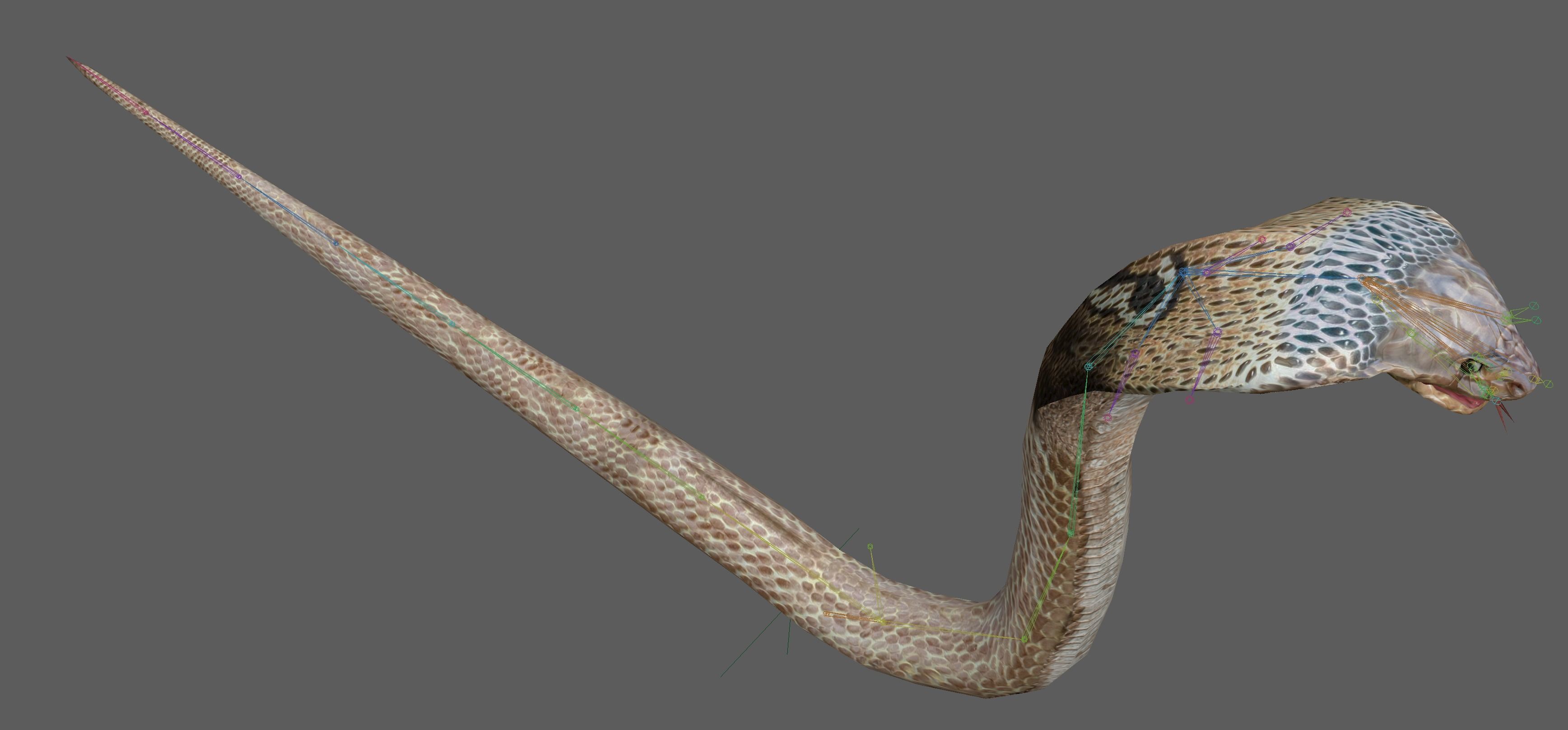 King Cobra Low-poly 3D model_12
