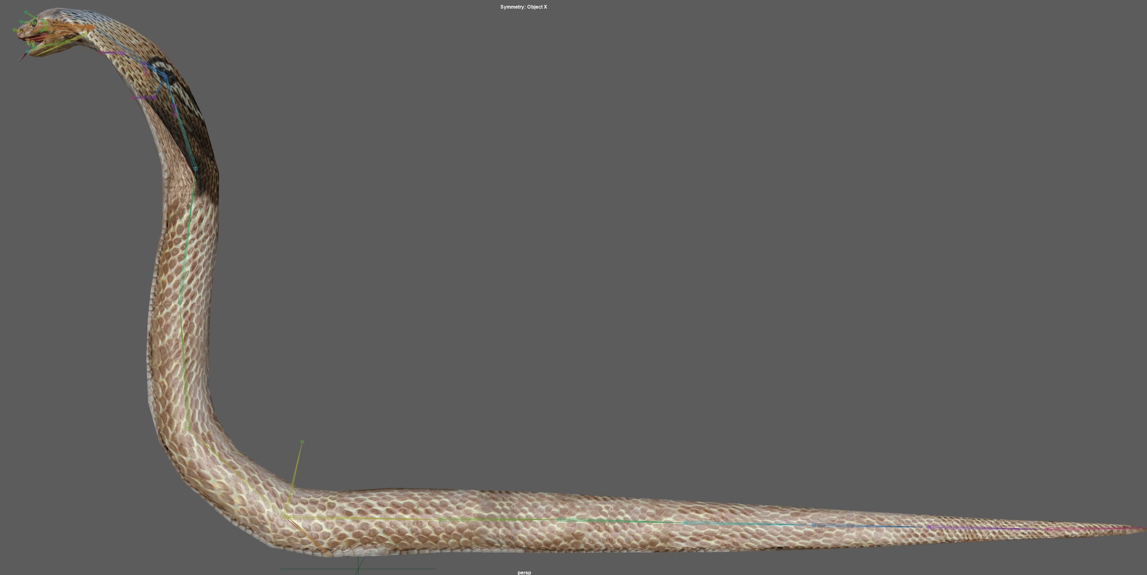 King Cobra Low-poly 3D model_22