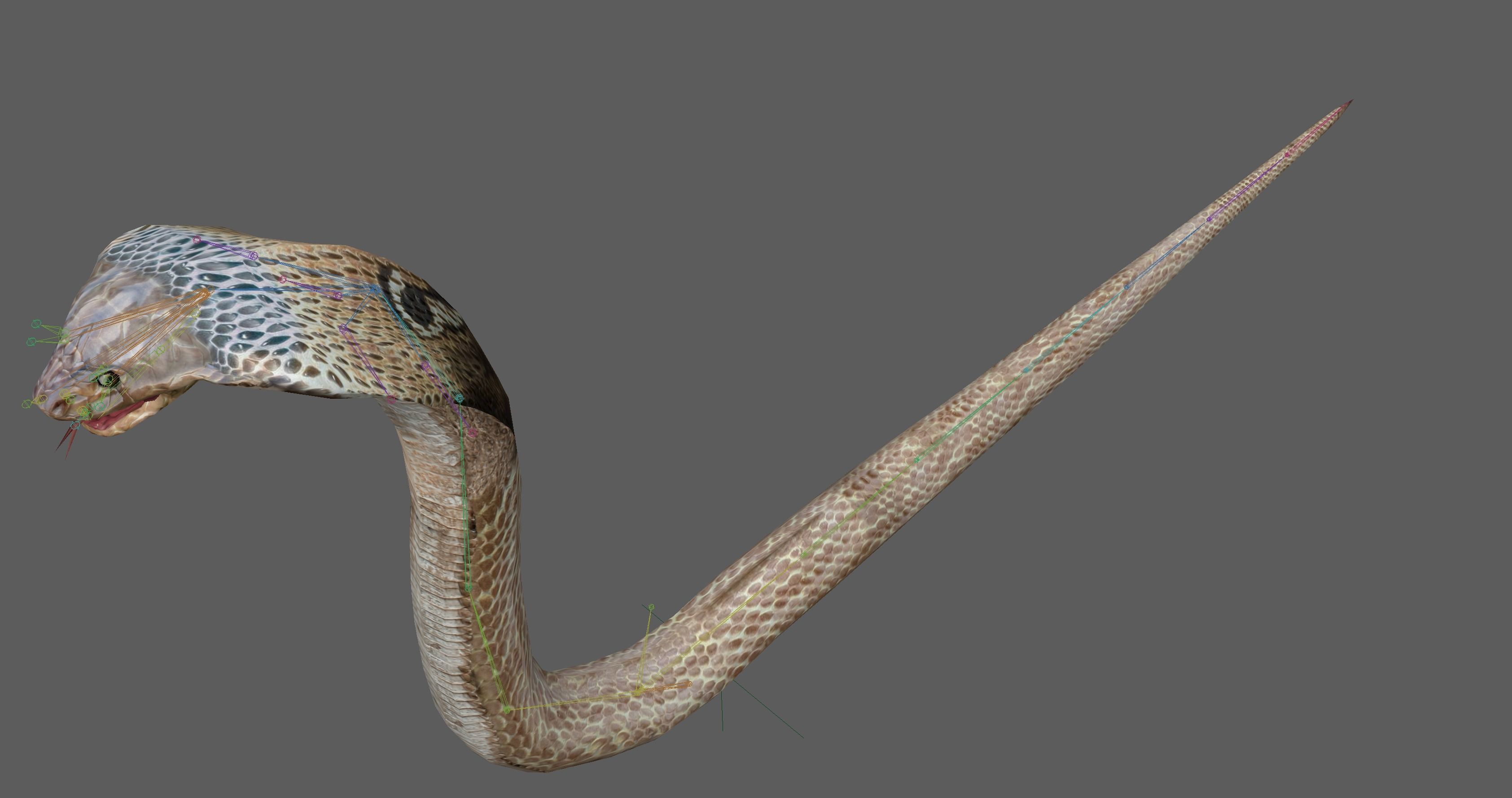 King Cobra Low-poly 3D model_11