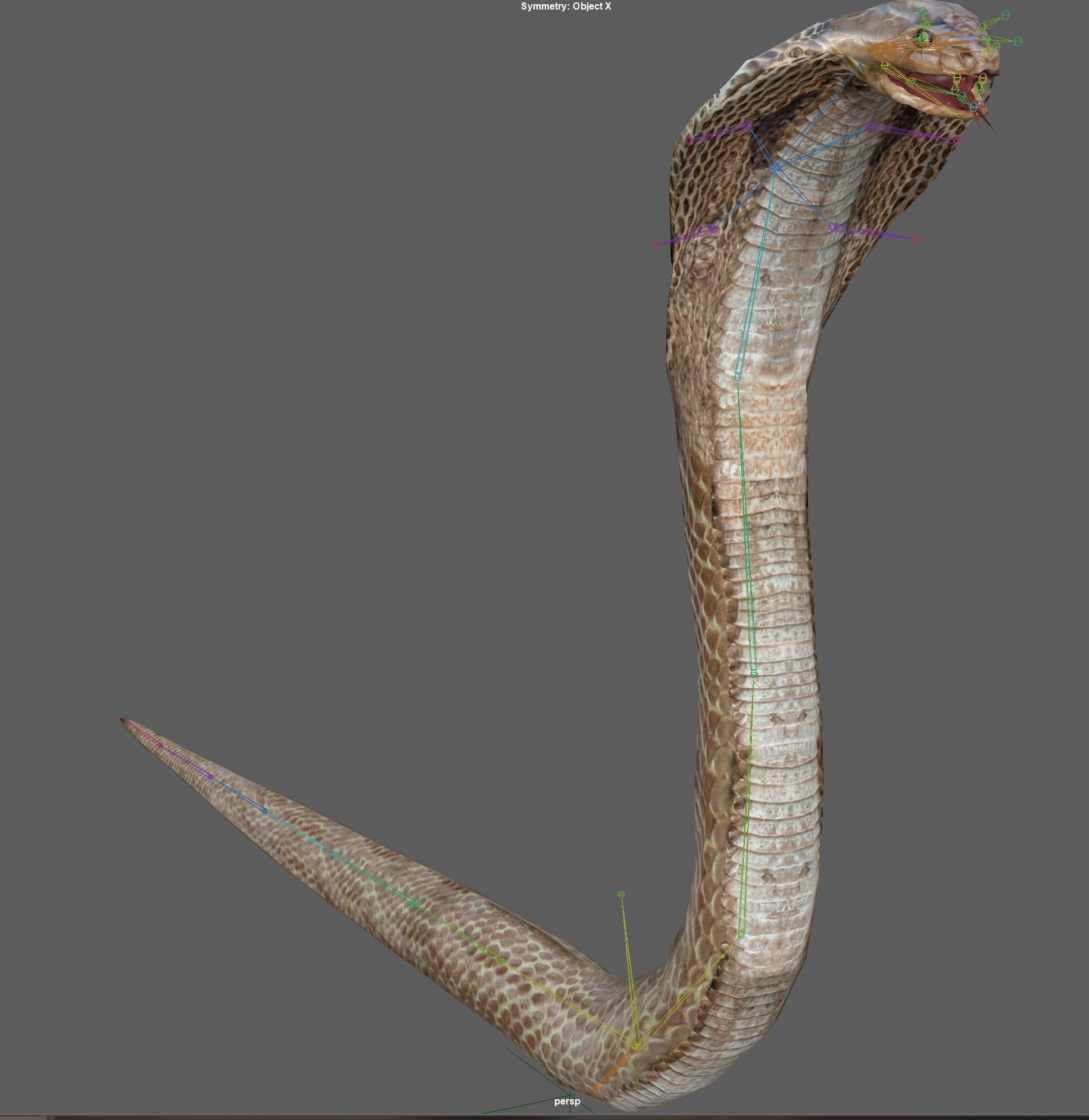 King Cobra Low-poly 3D model_18