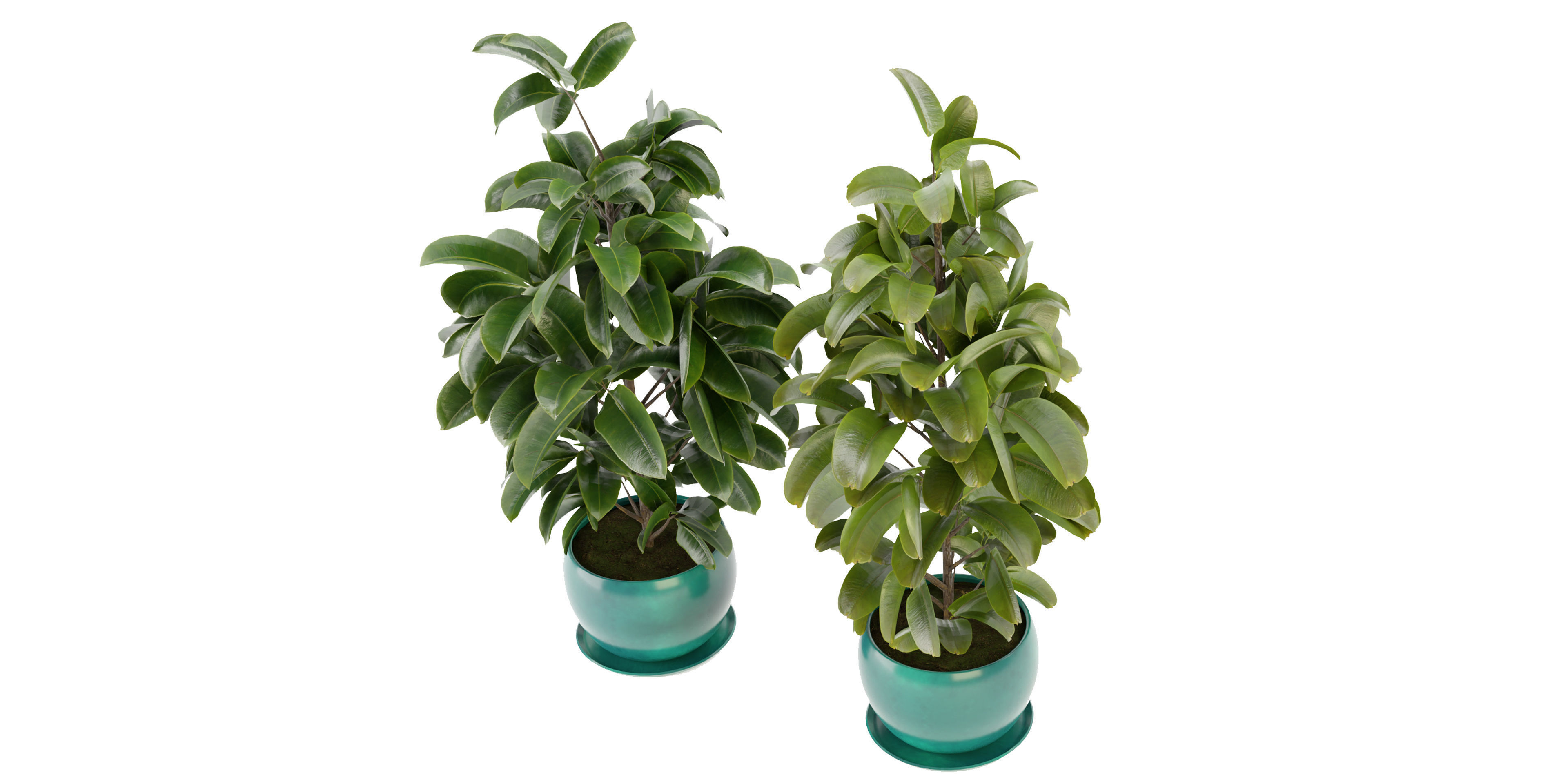 Collection plant vol 349 - blender model  3D model_4