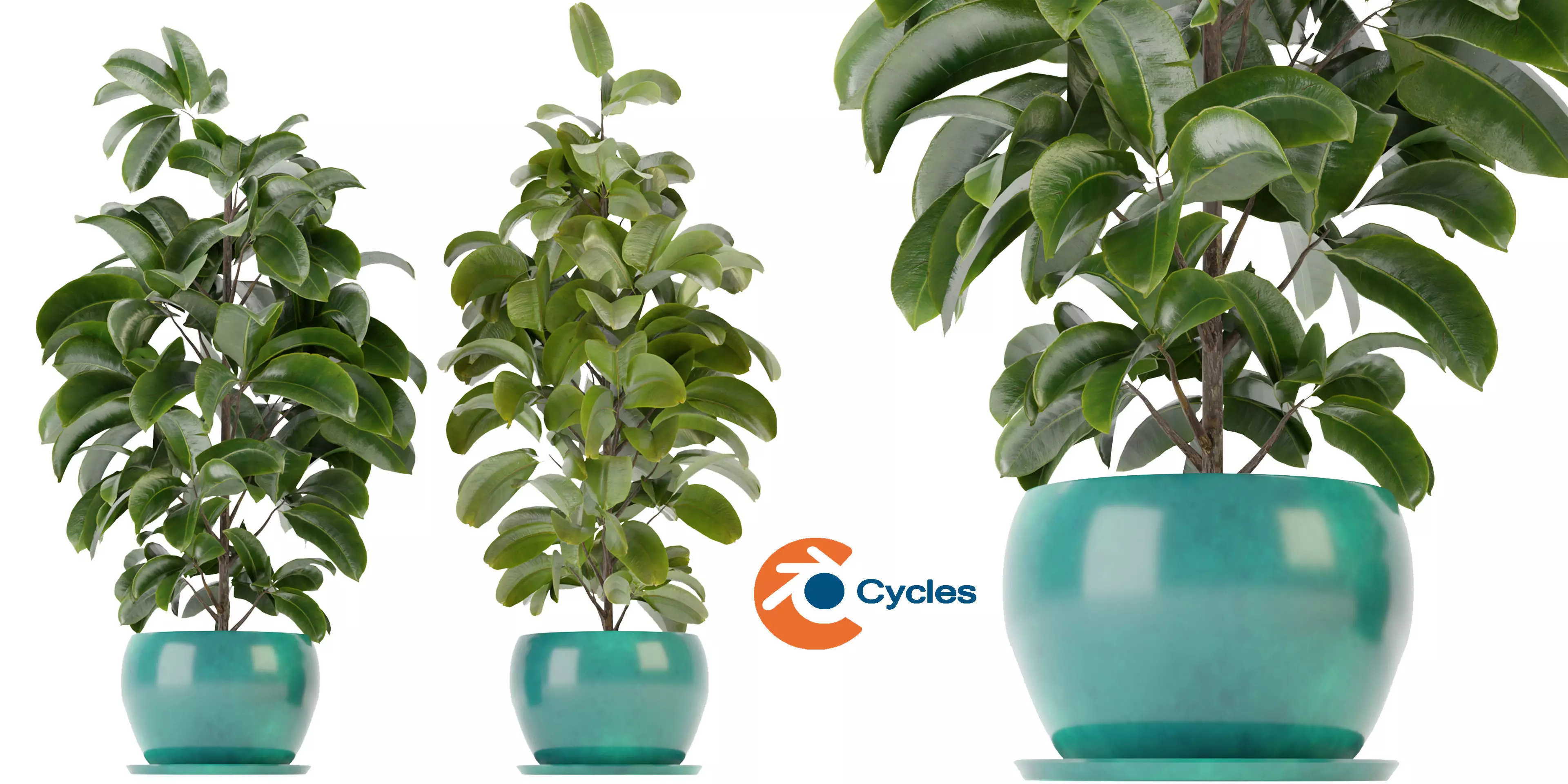 Collection plant vol 349 - blender model  3D model_0