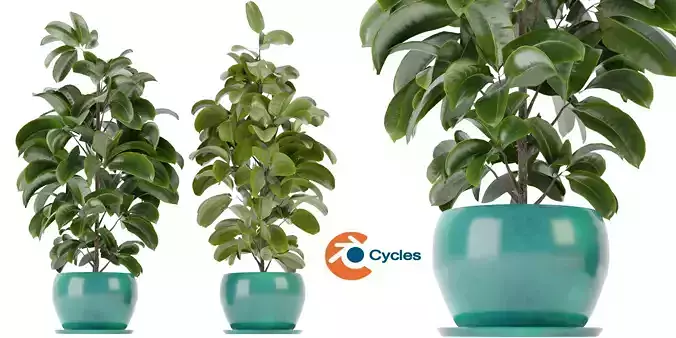 Collection plant vol 349 - blender model 