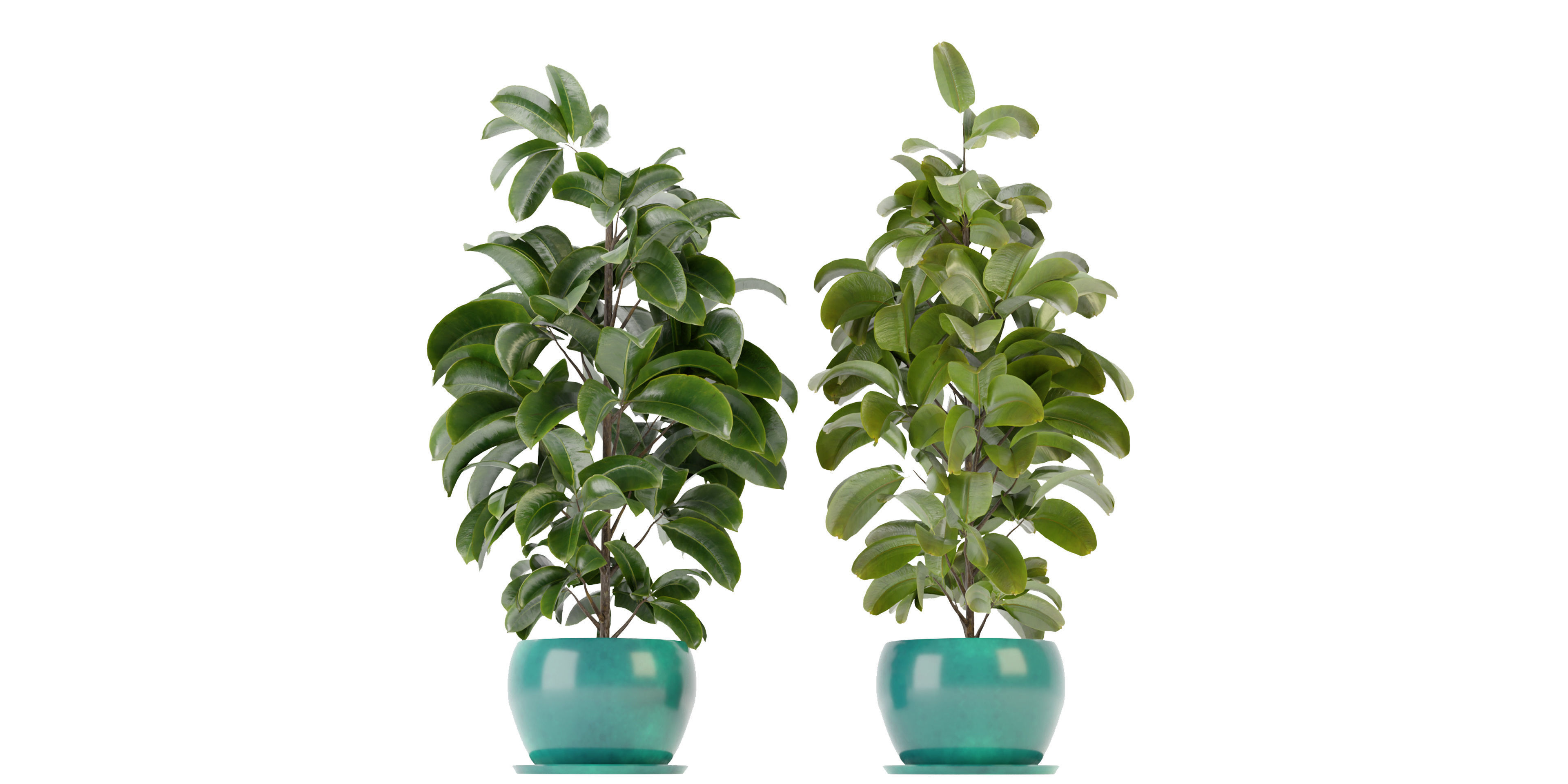 Collection plant vol 349 - blender model  3D model_1