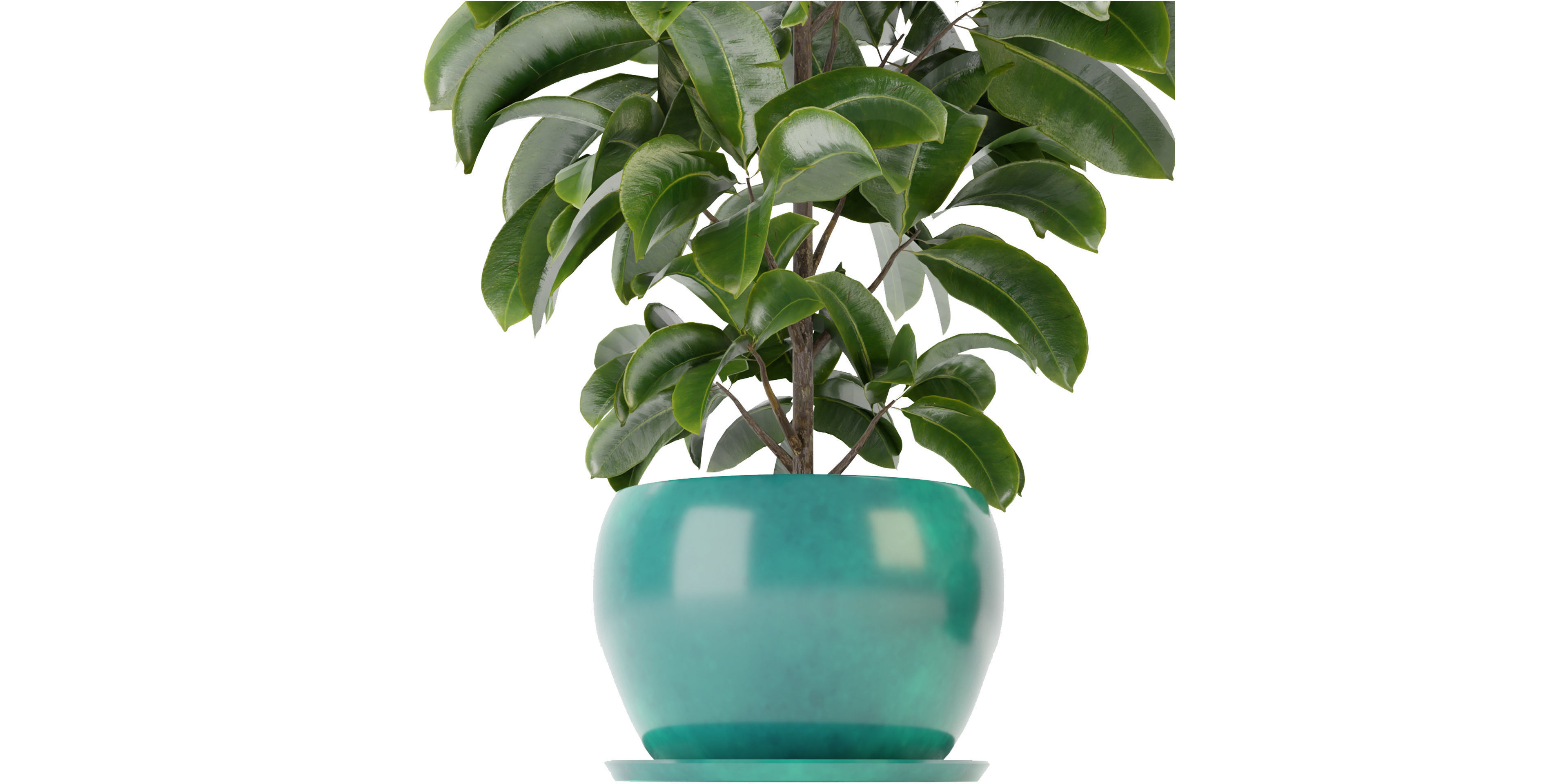 Collection plant vol 349 - blender model  3D model_2