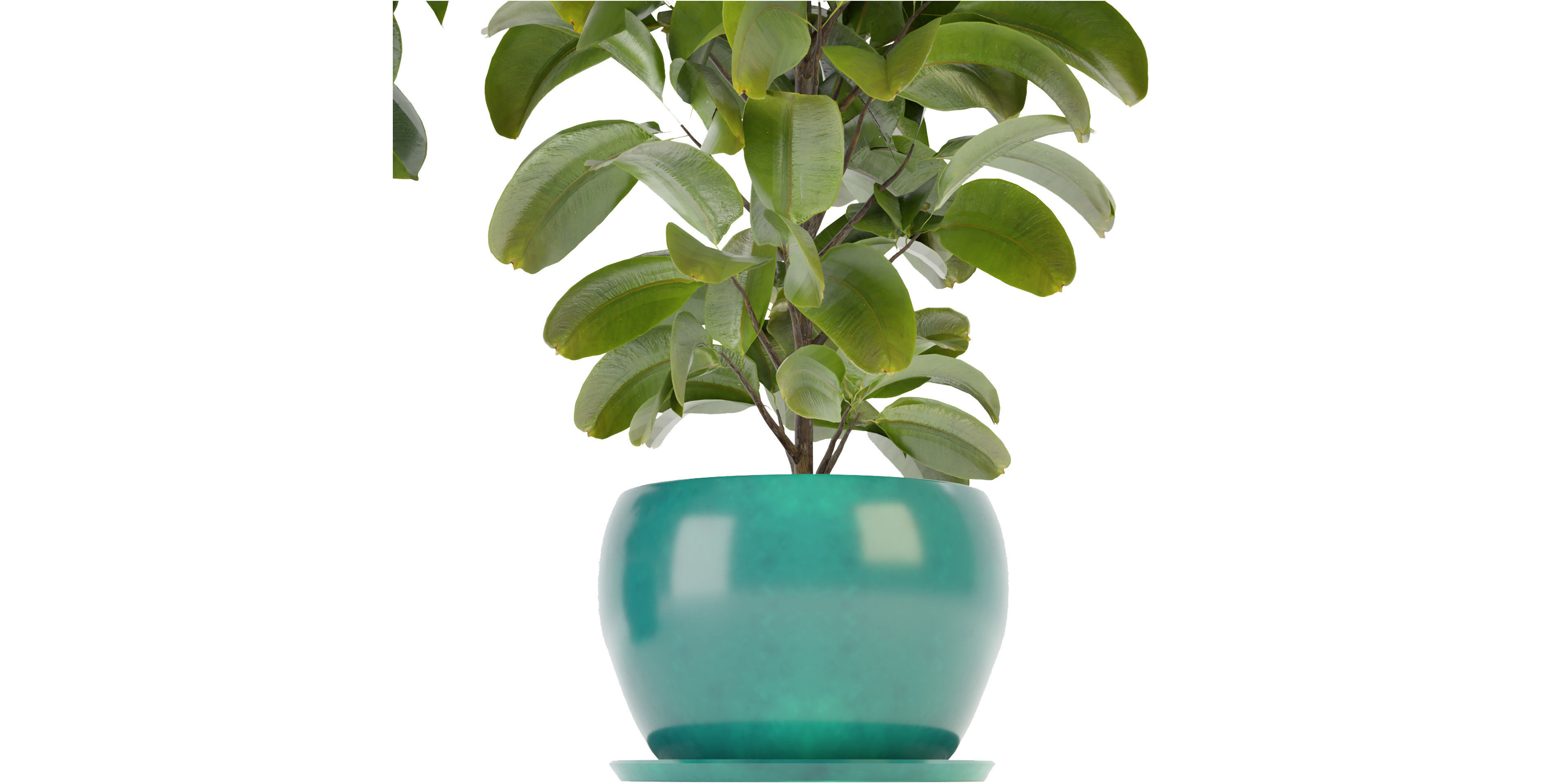 Collection plant vol 349 - blender model  3D model_3