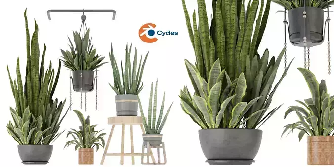 Collection plant vol 352 - blender model 