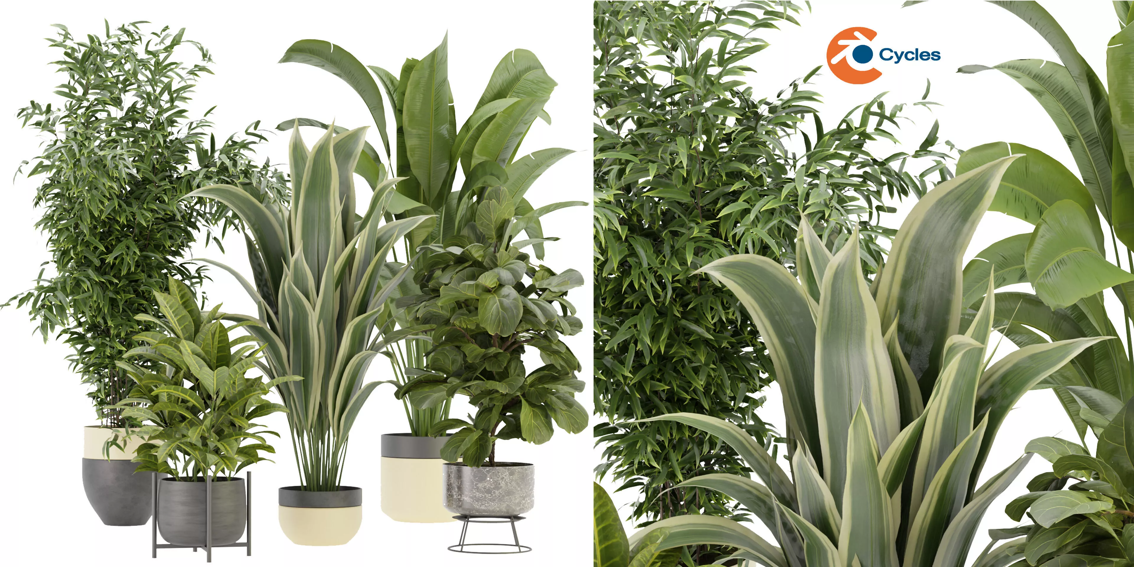 Collection plant vol 353 - blender model 3D model