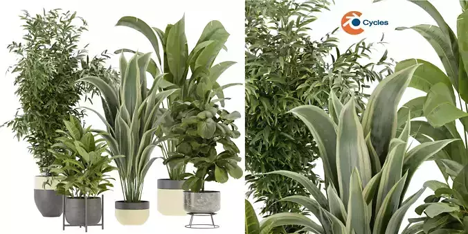 Collection plant vol 353  - blender model  3D model