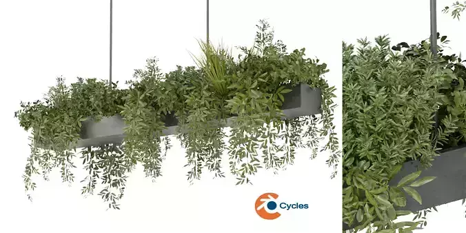 Collection plant vol 354 - blender model 